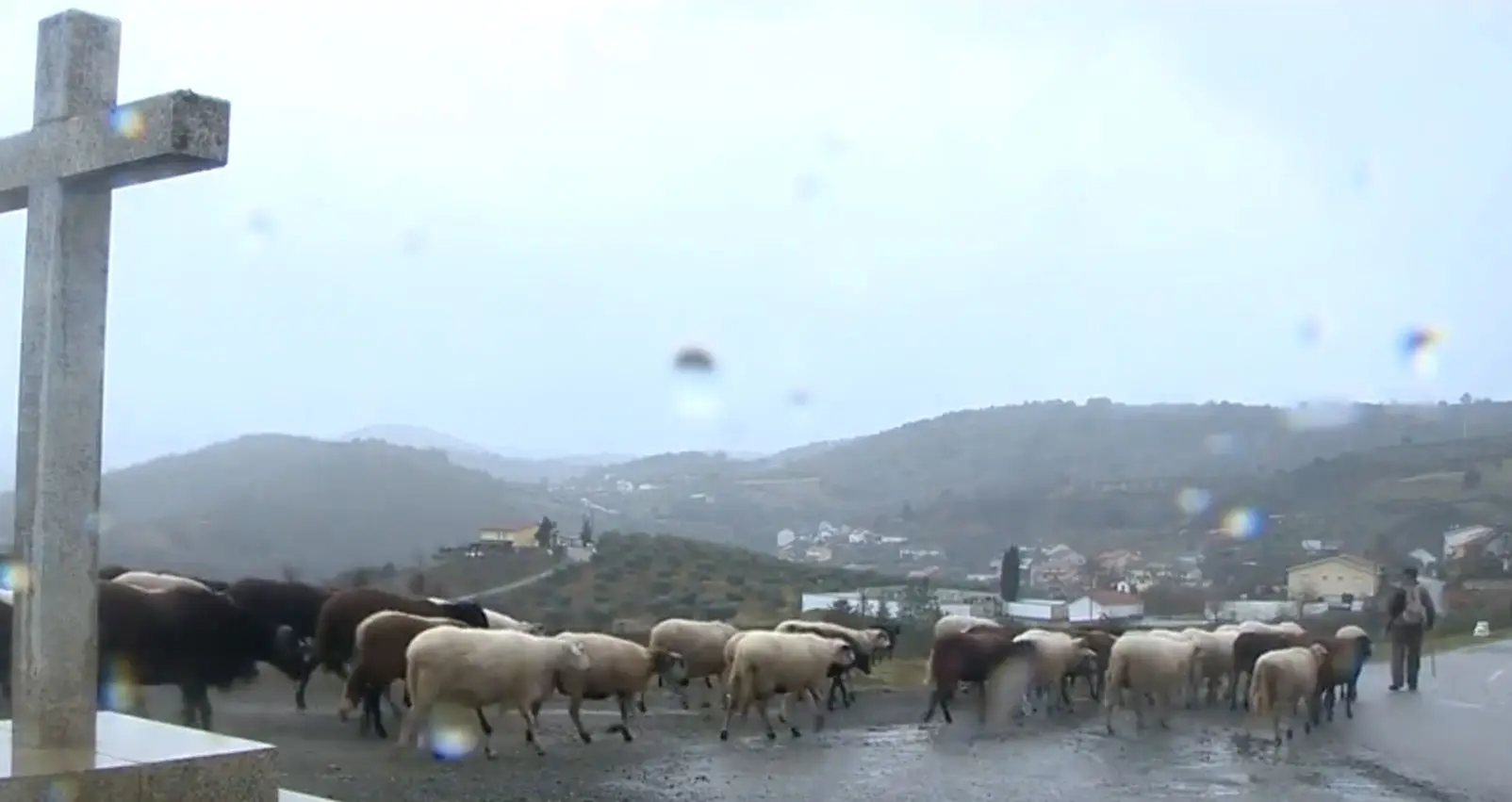Chuva ligeira em Trás-os-Montes não chega para reverter situação de seca