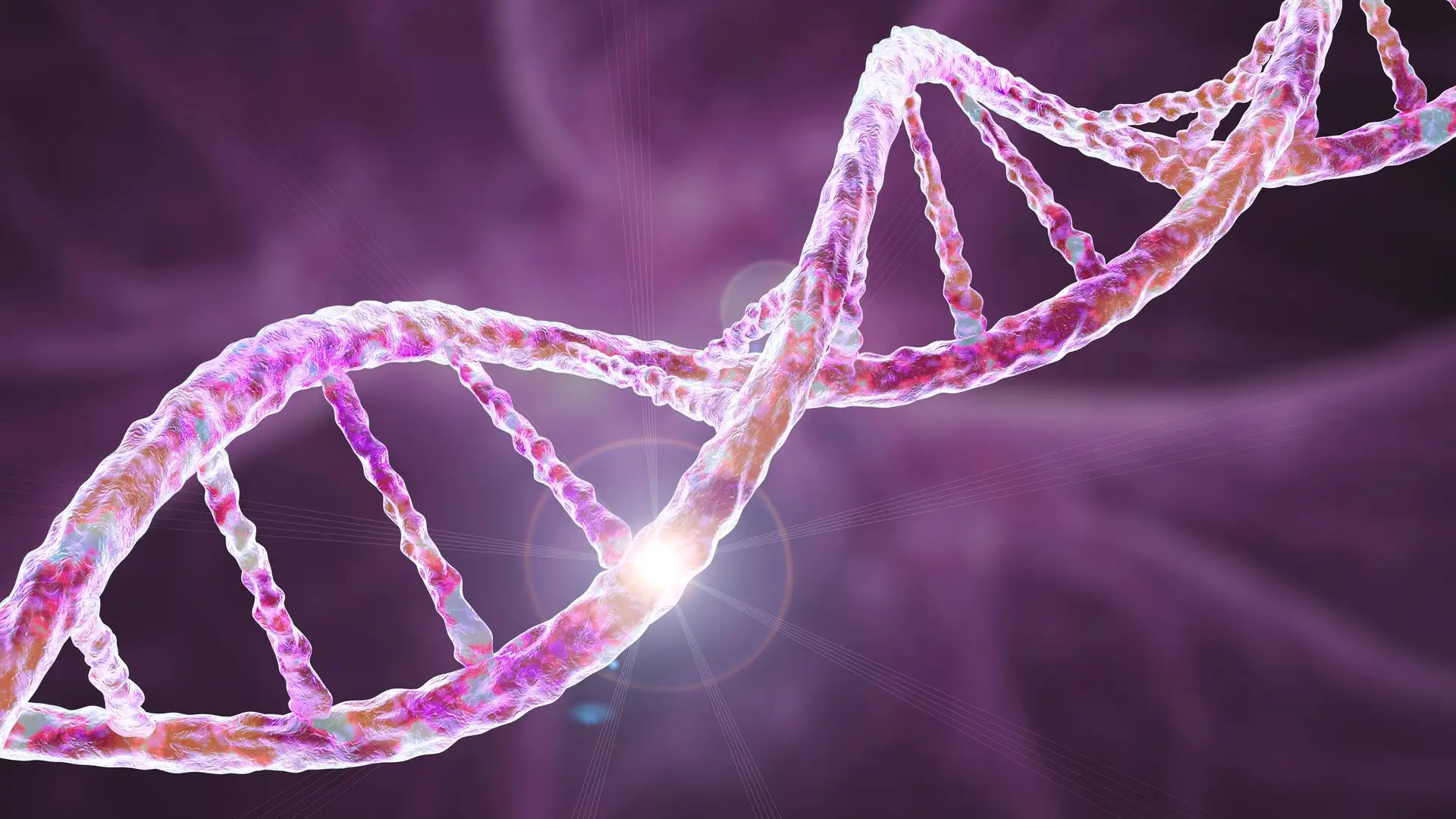 Investigadores criam árvore genealógica da humanidade mais completa de sempre