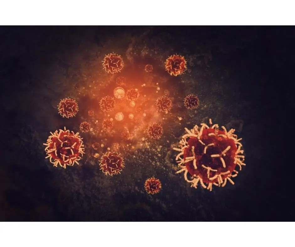 OMS alerta: cancro é responsável por 20% das mortes na Europa