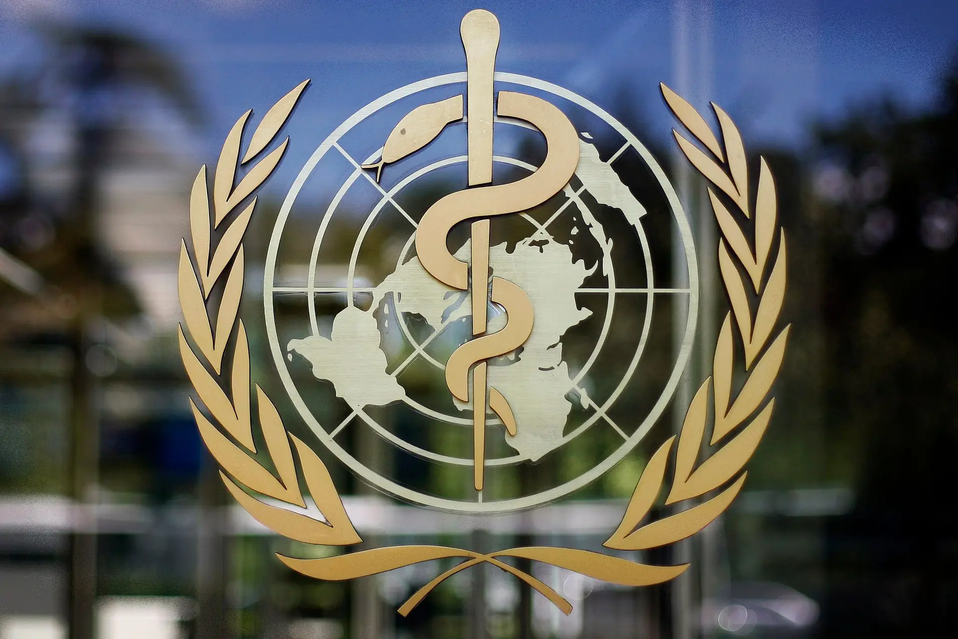 Ucrânia: OMS alerta para risco de “catástrofe humana na Europa”