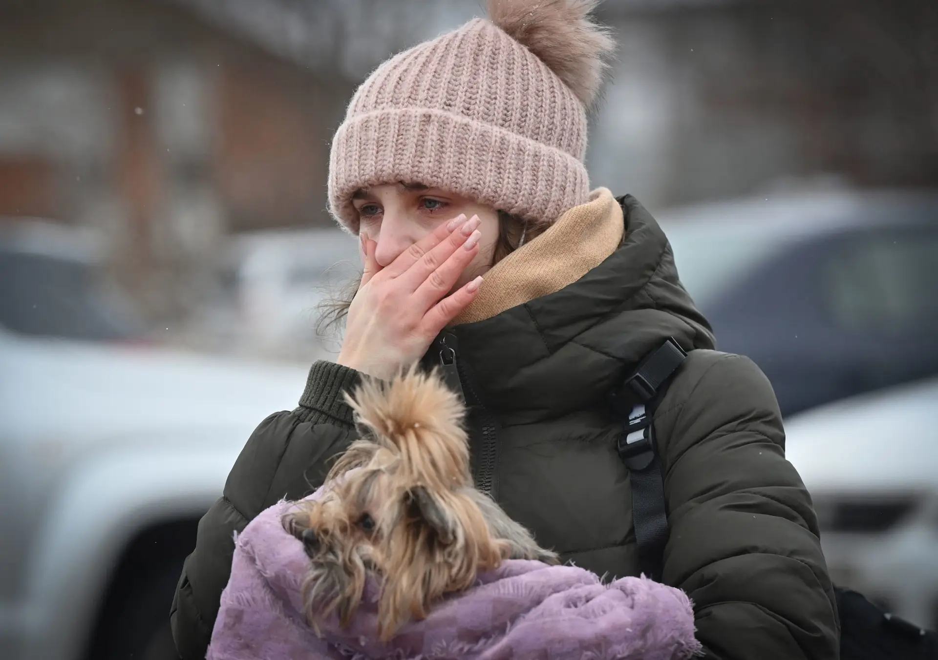 Ucranianos que deixam o país com animais de estimação têm serviço especial à chegada a Siret