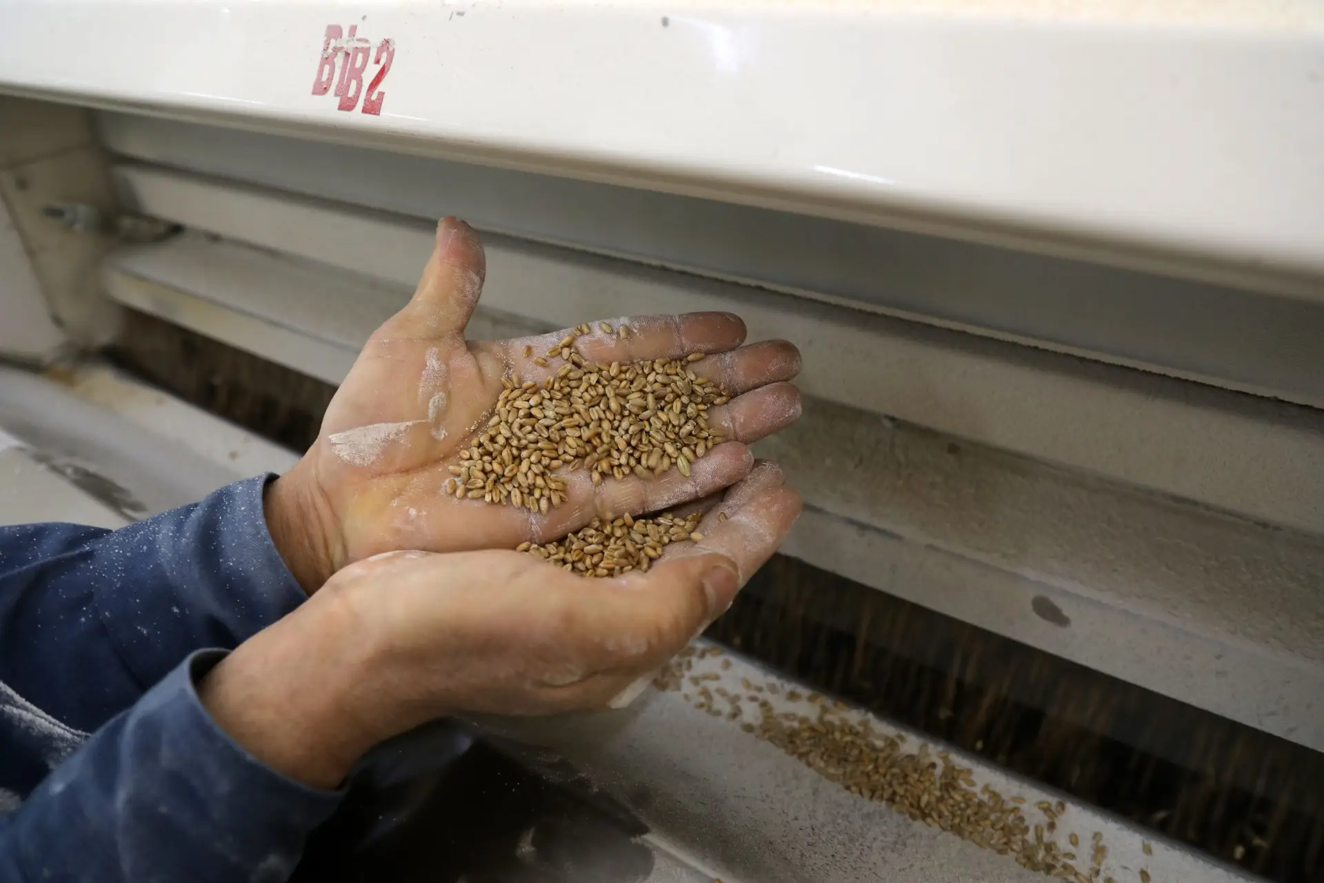 Guerra afeta preços de bens essencias: cereais e óleos alimentares vão ficar mais caros