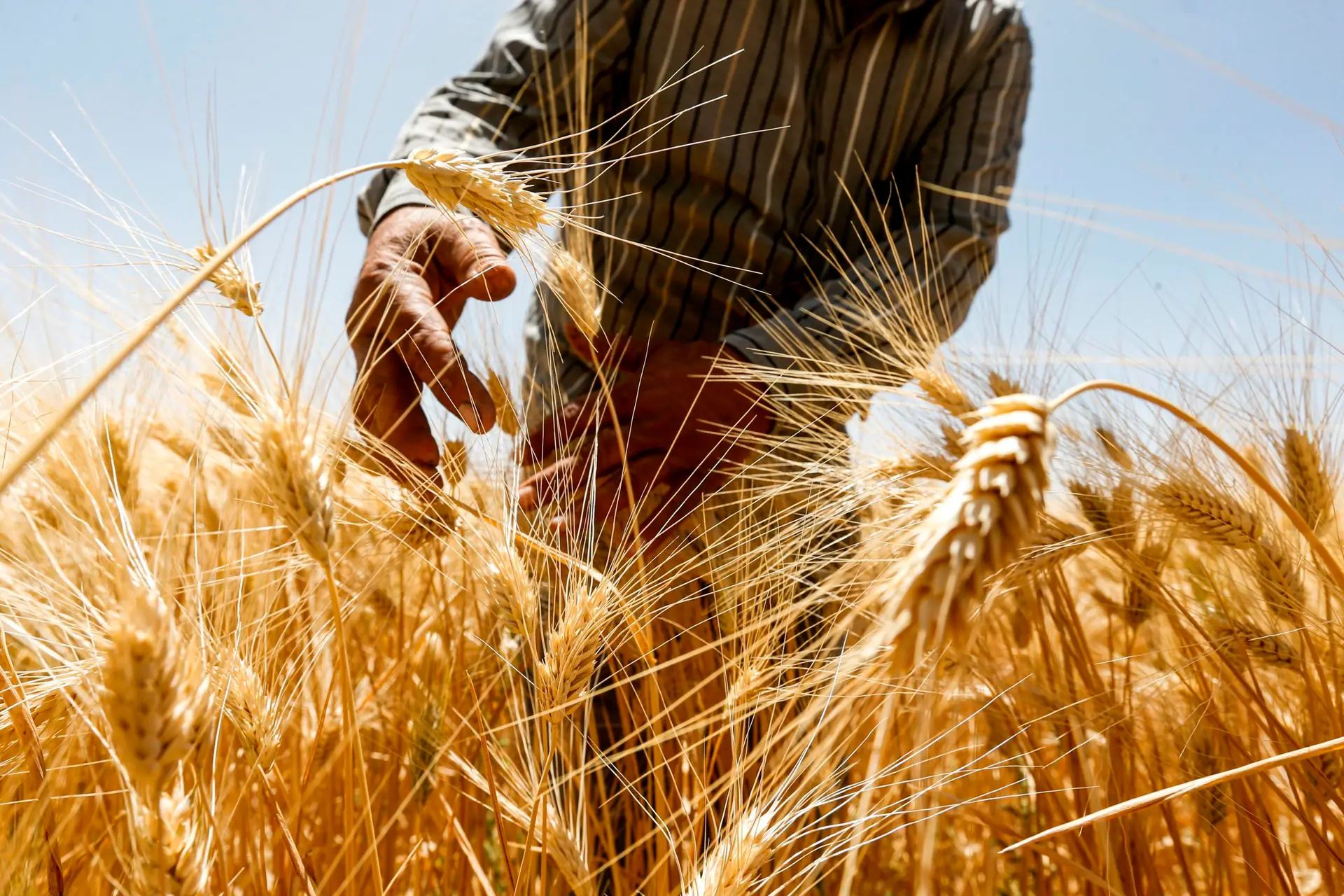 Agricultores podem apresentar Pedido Único da campanha de 2024 entre março e maio