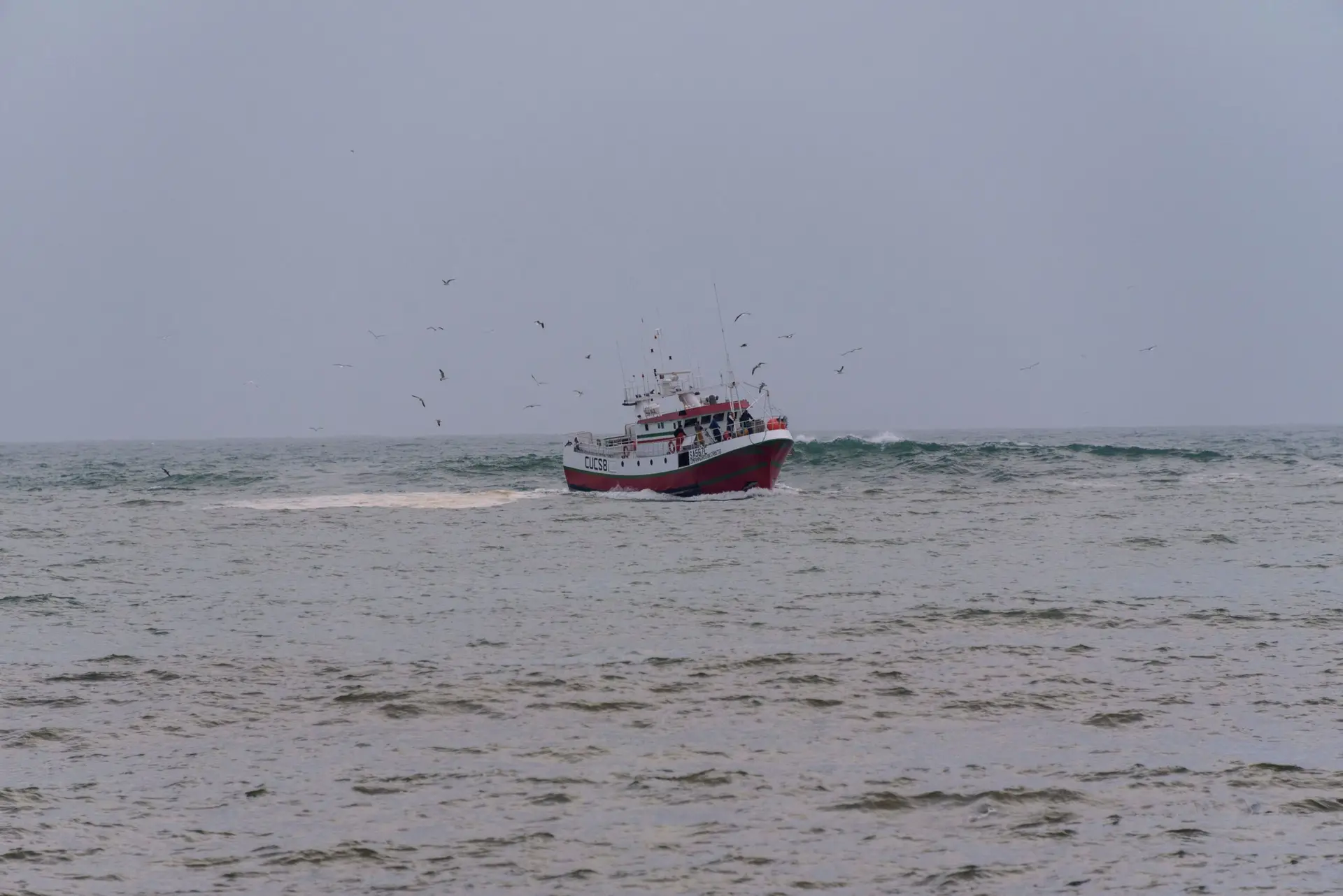 Aumento do preço dos combustíveis insustentável: pescadores pedem apoios urgentes