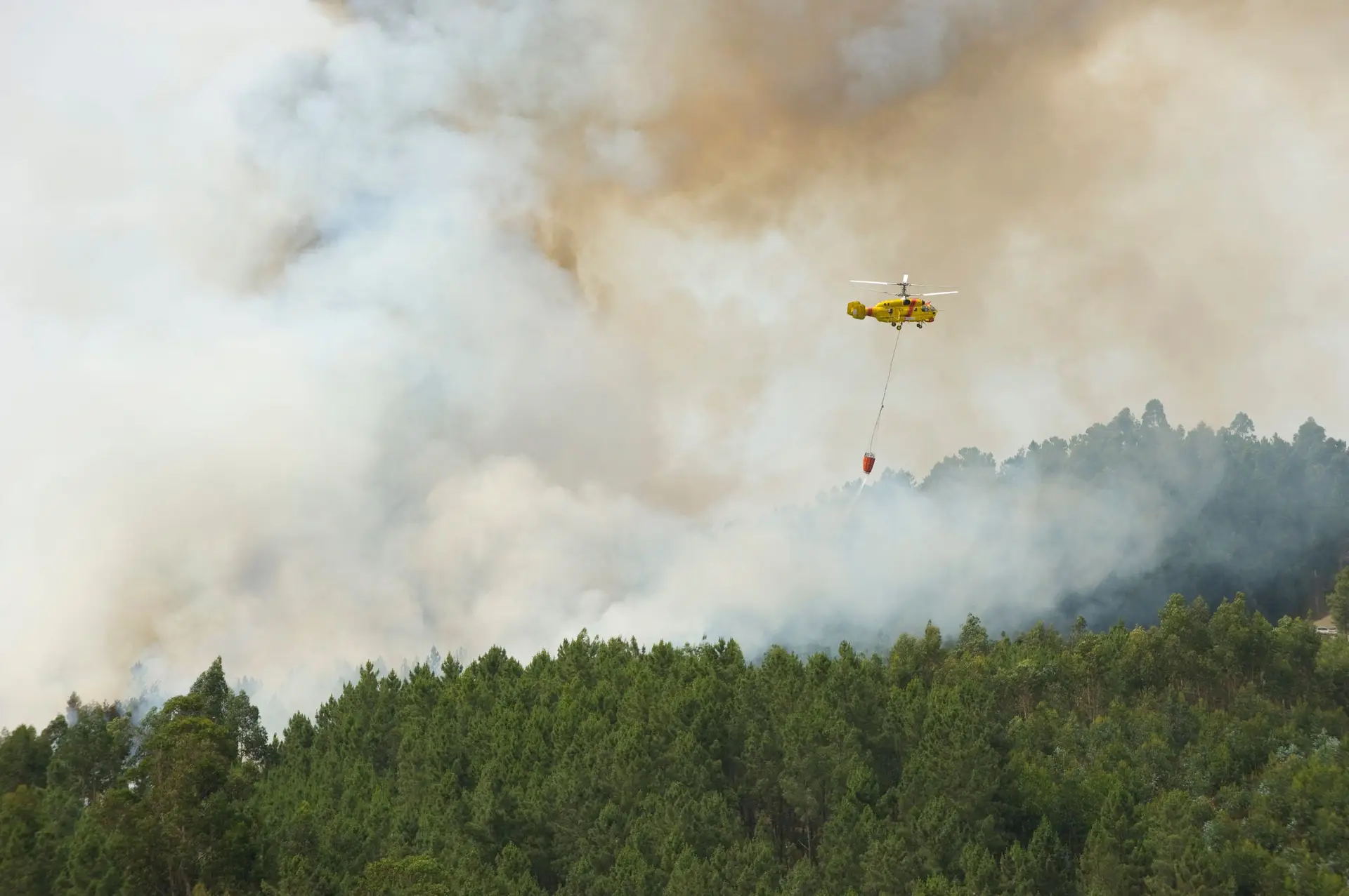 Helicópteros Kamov sem licença devido a restrições à Rússia