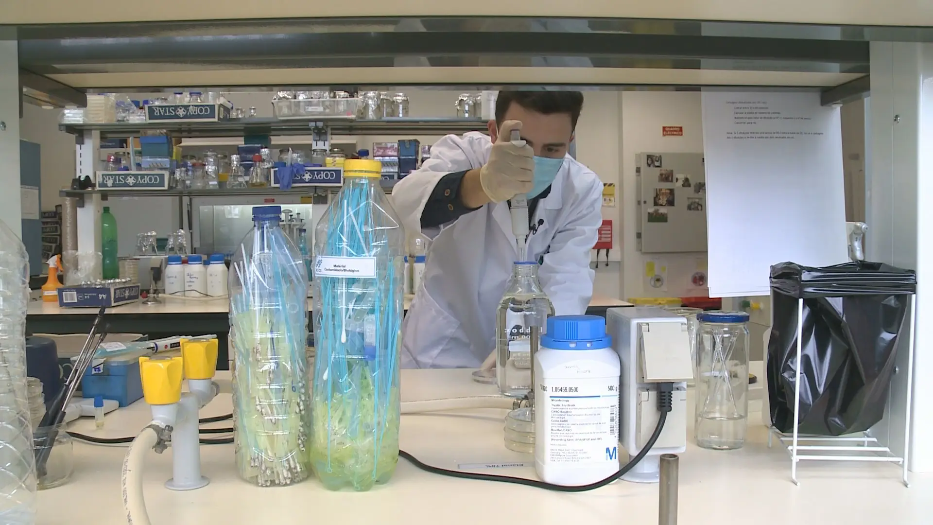 Estudantes portugueses usam bactéria para eliminar microplásticos da água 