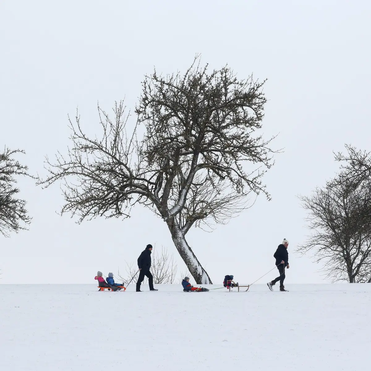 Vaga de frio na Europa: cidades cobertas de neve - SIC Notícias