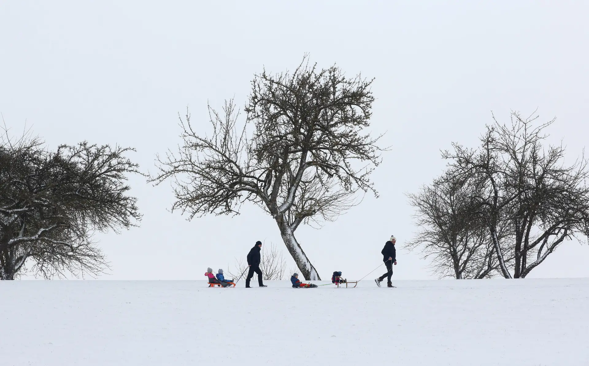EUA: Mortes em 'nevasca do século' sobem para 49 - 26/12/2022
