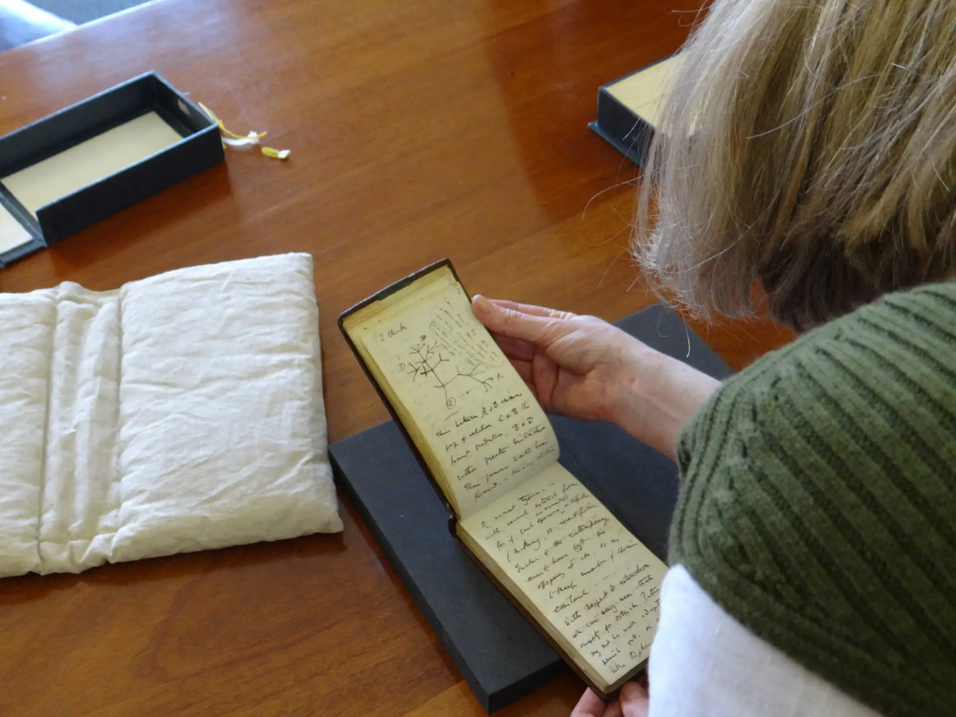 Universidade de Cambridge recupera cadernos de Charles Darwin depois de 20 anos desaparecidos