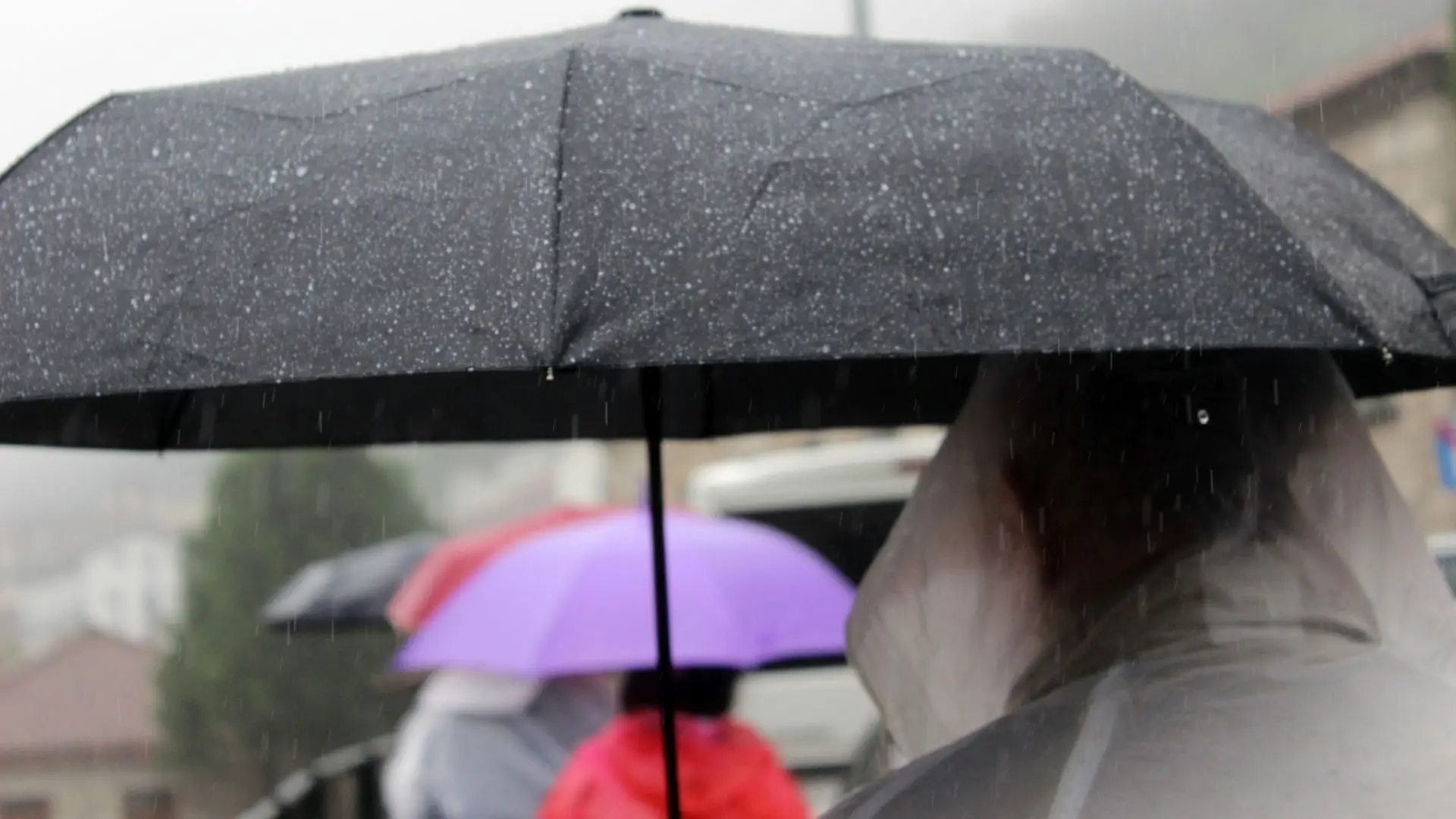 Superfície frontal associada à depressão Diego vai afetar o estado do tempo em Portugal