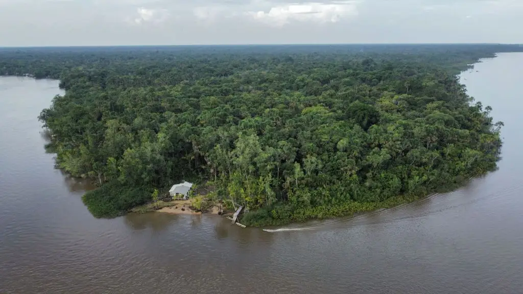 Cerca de 40% de toda a perda de florestas no planeta em 2021 aconteceu no Brasil