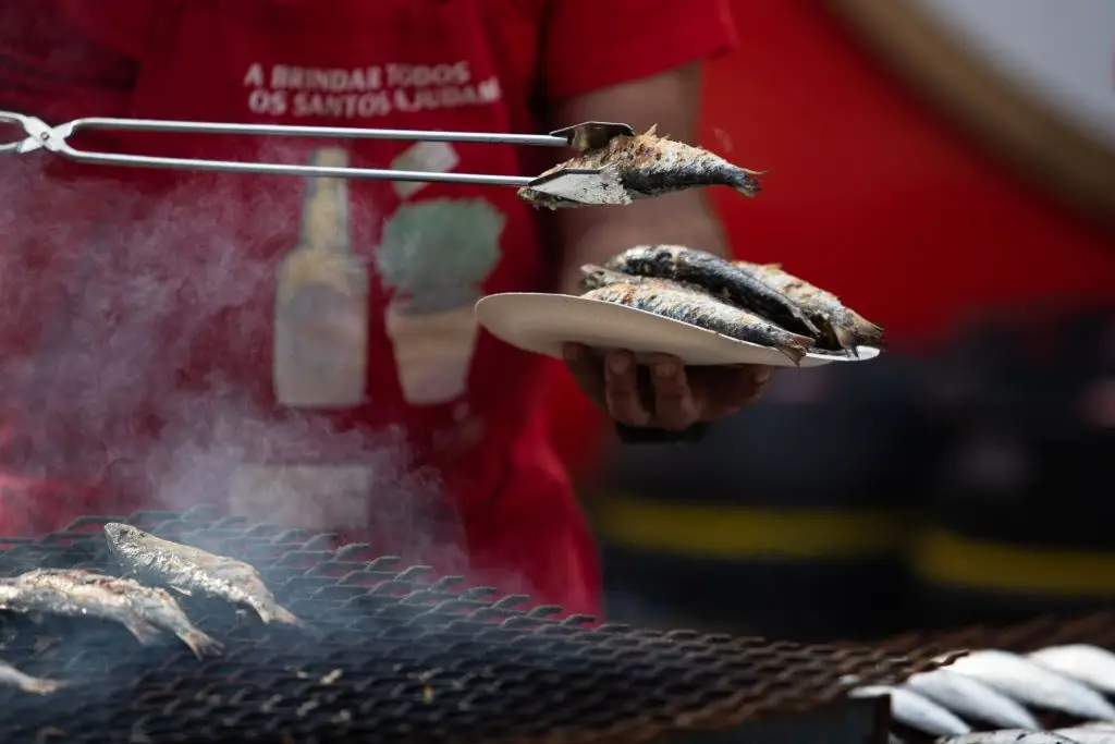 Limite de captura da sardinha aumenta para 29.400 toneladas