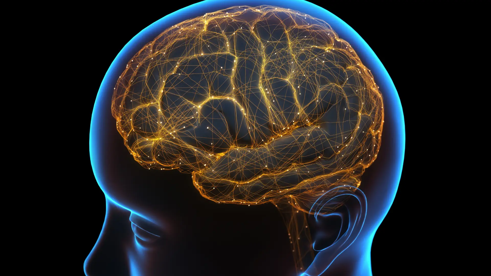 Cientistas portugueses criam modelos de metástases cerebrais para estudar melhor tumores