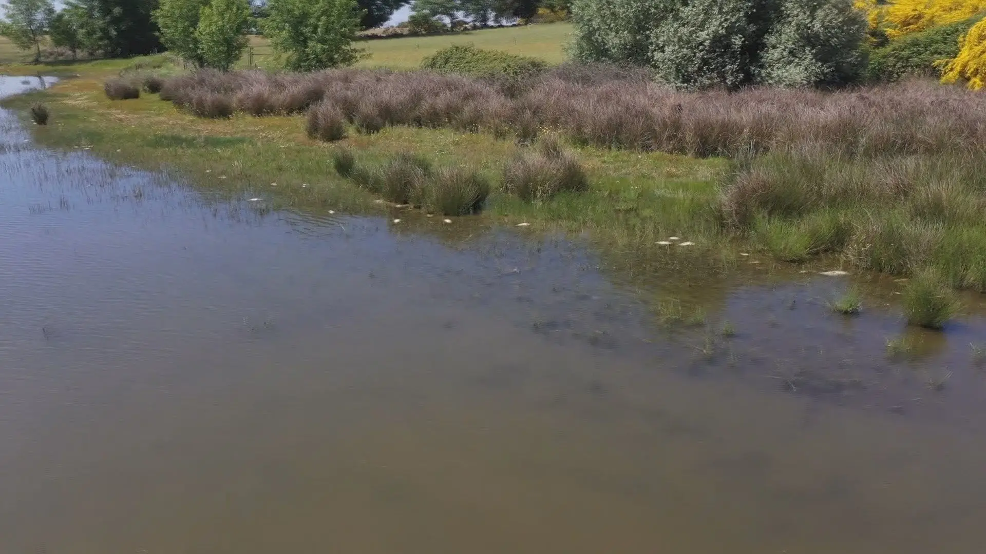 Toneladas de peixes aparecem mortos na barragem de Santa Águeda 