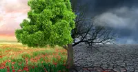 Alterações Climáticas