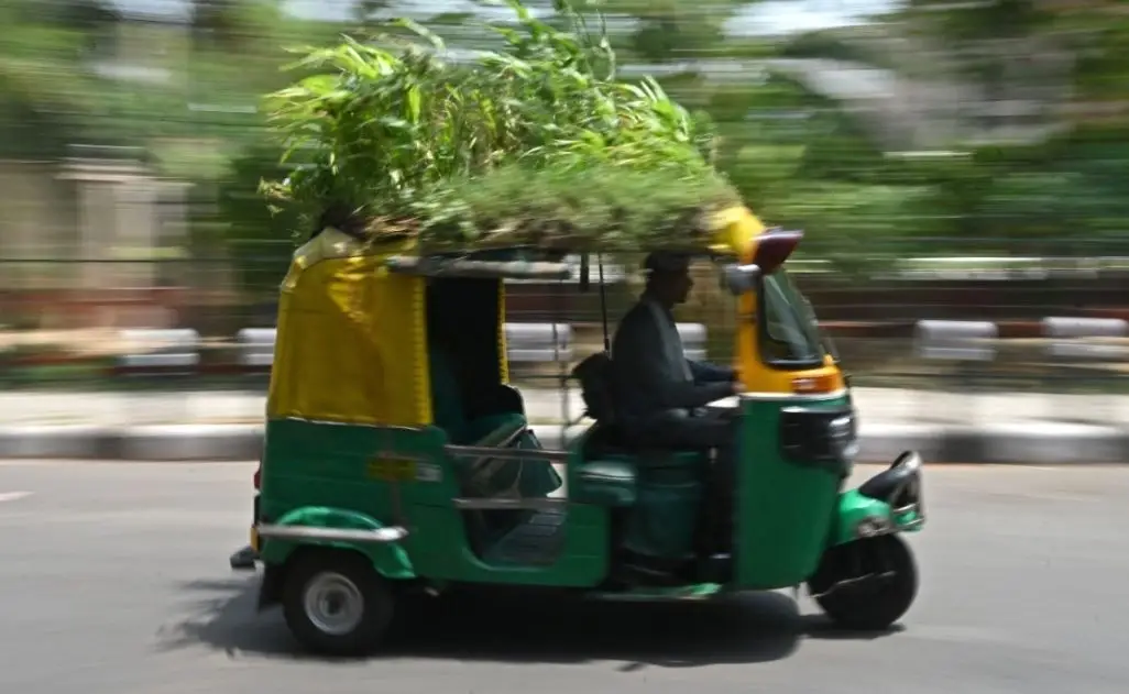 Vaga de calor na Índia: a ideia original de um condutor de tuk-tuk para refrescar os passageiros