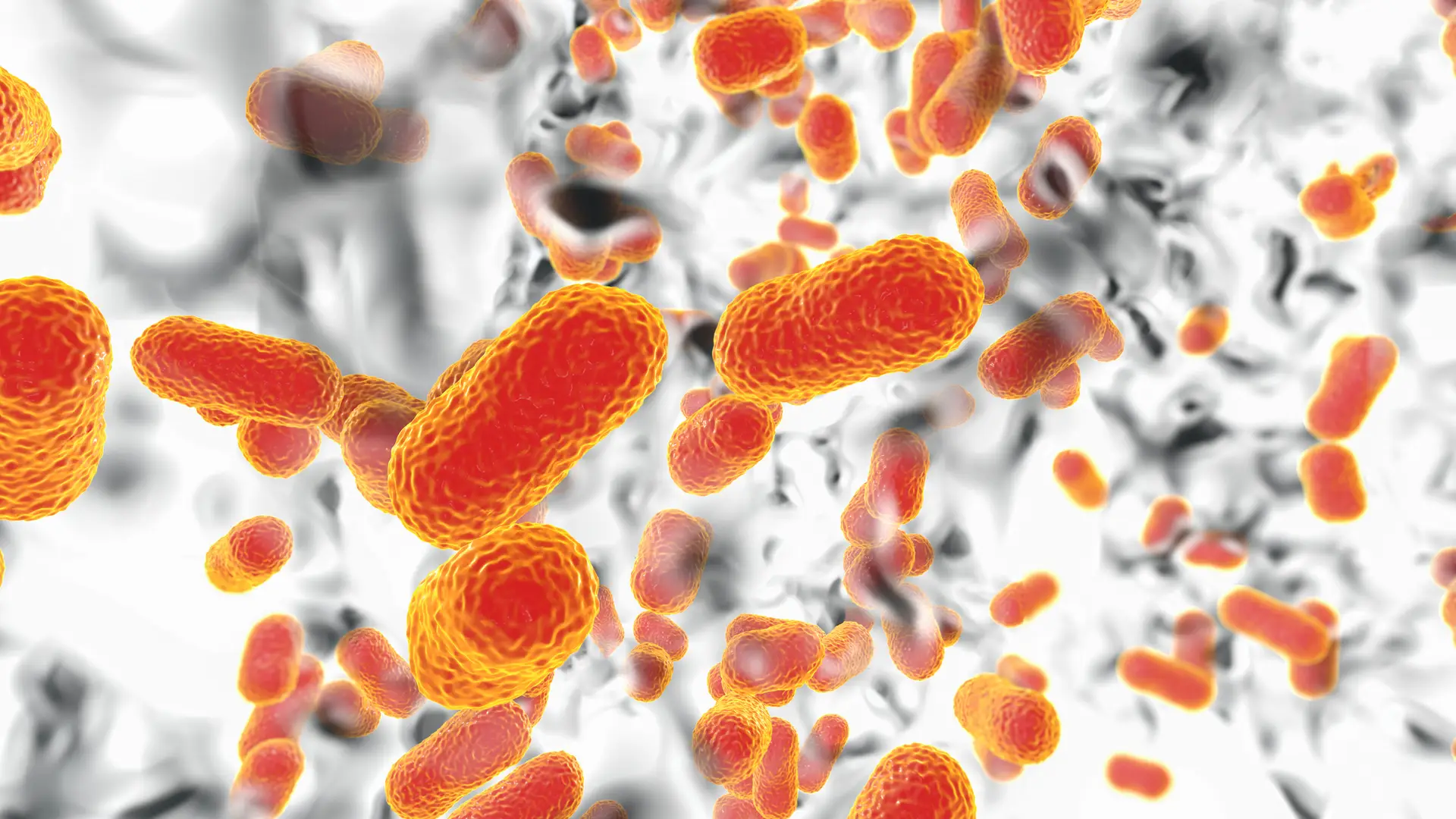 Infeções bacterianas foram uma das principais causas de morte em 2019