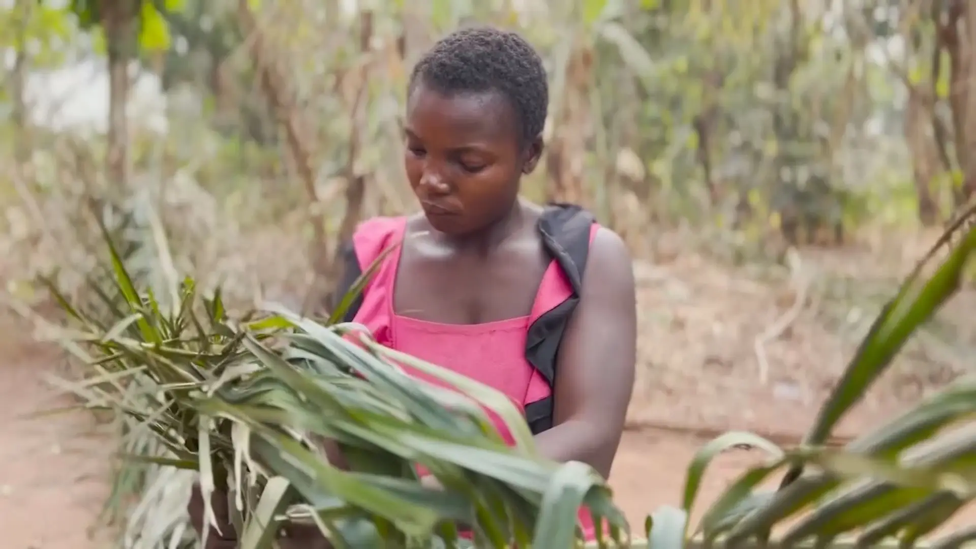 Covid-19: viúvas em África ficam sem direitos, sem sustento e até podem perder a guarda dos filhos