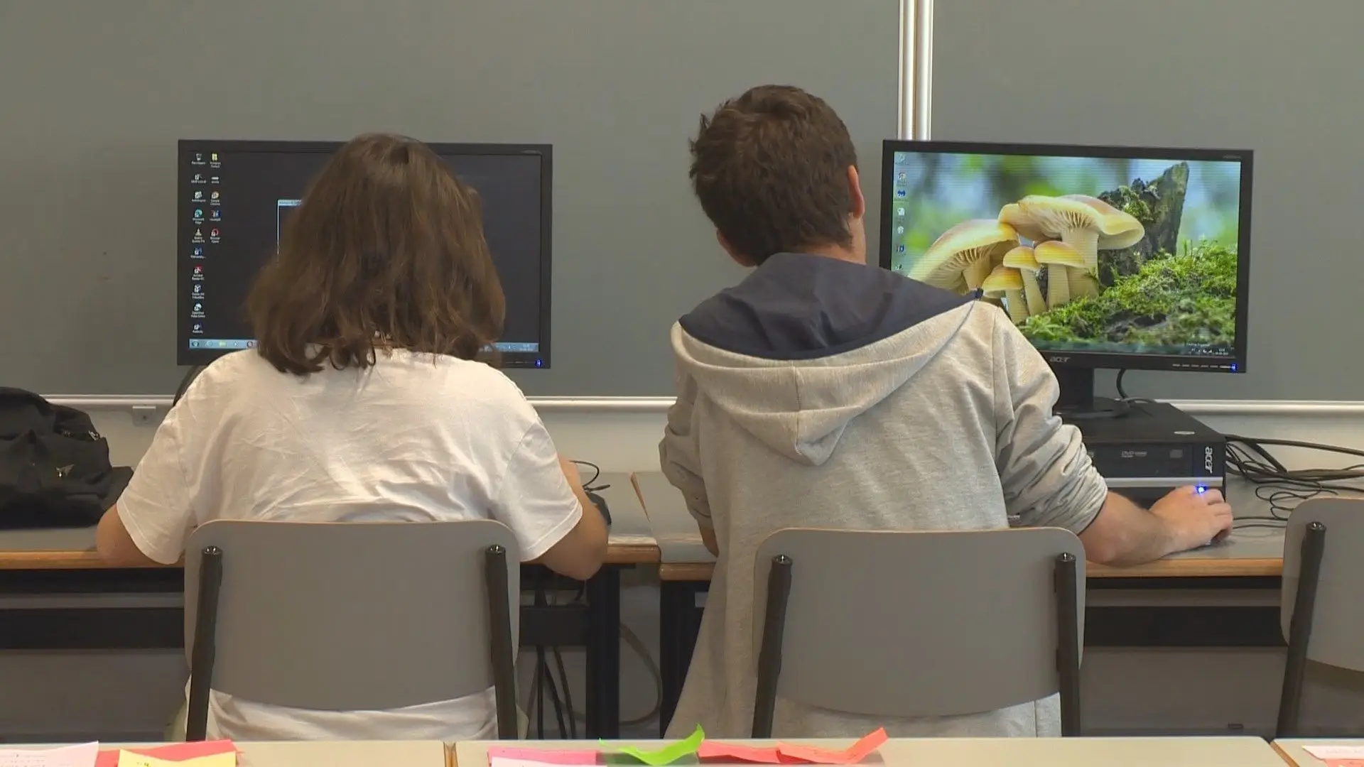 Alunos de Tomar escrevem livro como forma de combater efeitos da pandemia