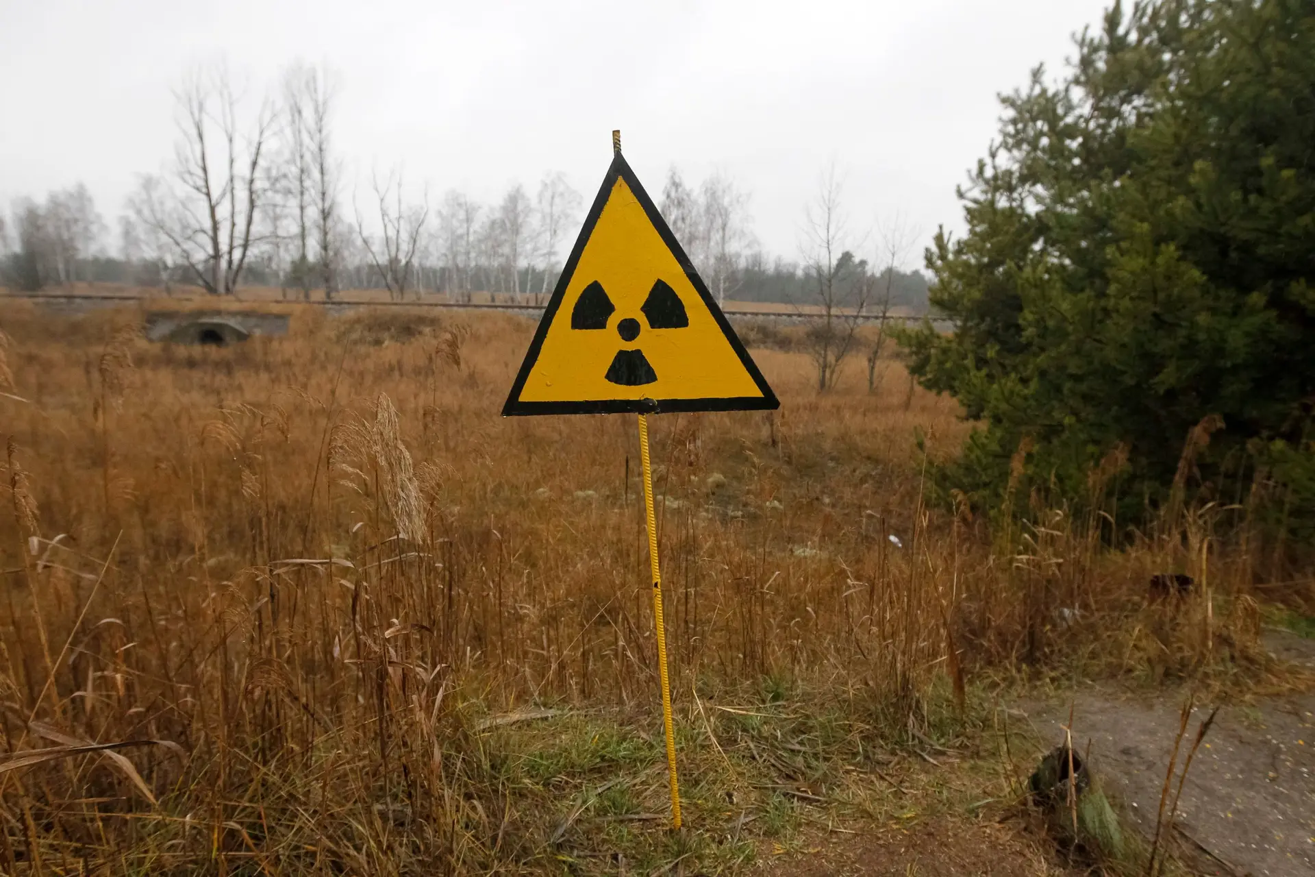 Rússia terá pressionado UE para tratar gás e nuclear como energias verdes