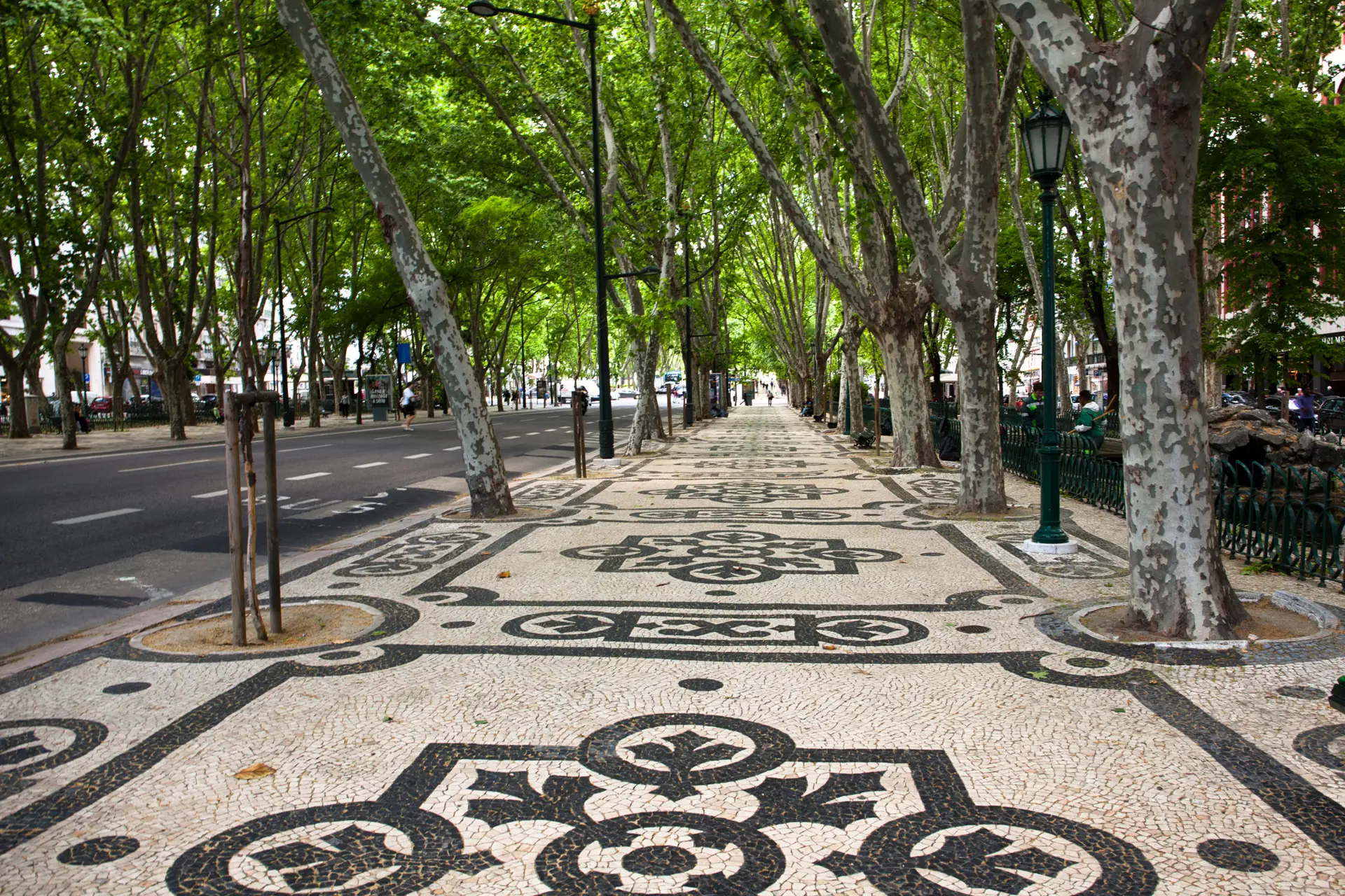 Teatros de Lisboa dizem que Avenida da Liberdade sem carros ameaça viabilidade das salas