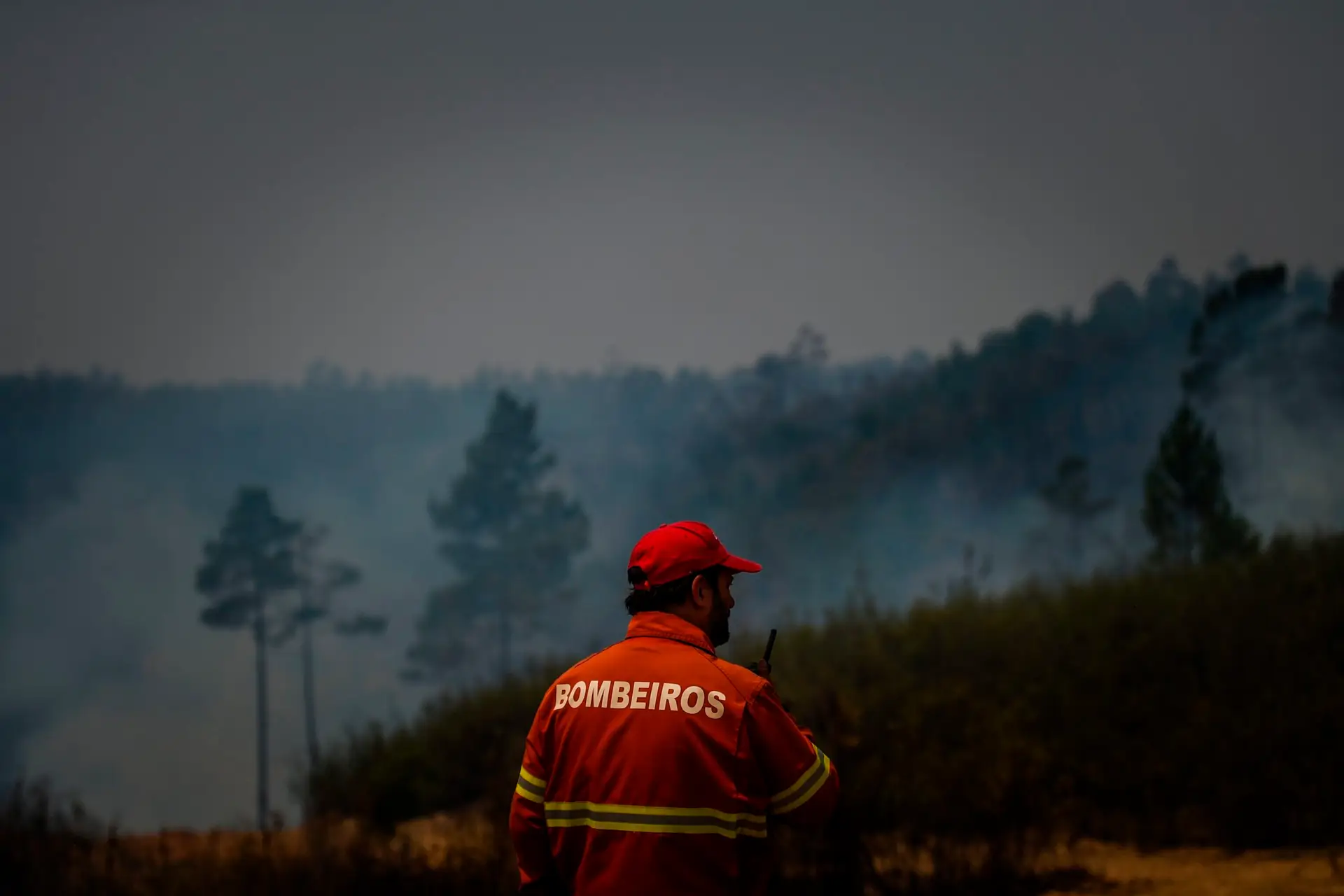 Ministro do Ambiente avisa que este ano há “maior risco” para fogos florestais e apela a “maiores cuidados”