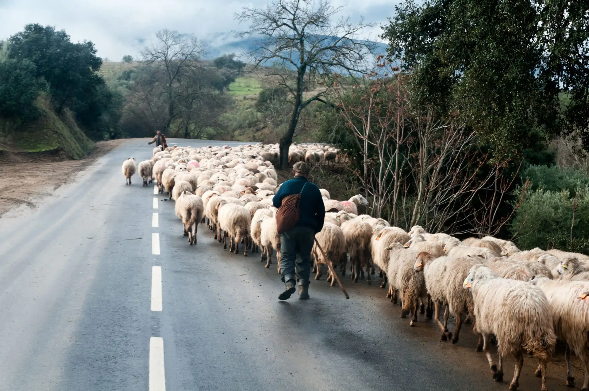 Reportagem Especial: “Pastores da nossa terra”