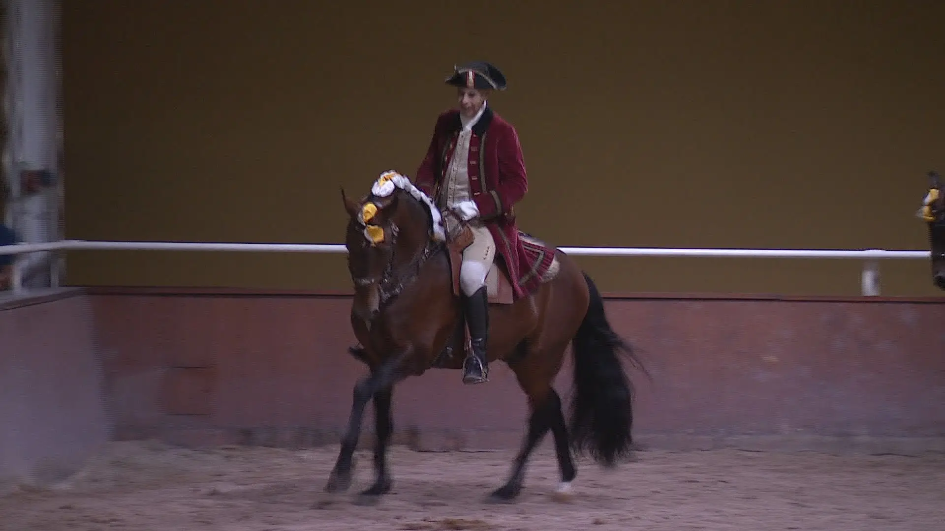 Calçada da Ajuda voltou a ser palco de uma Gala Equestre