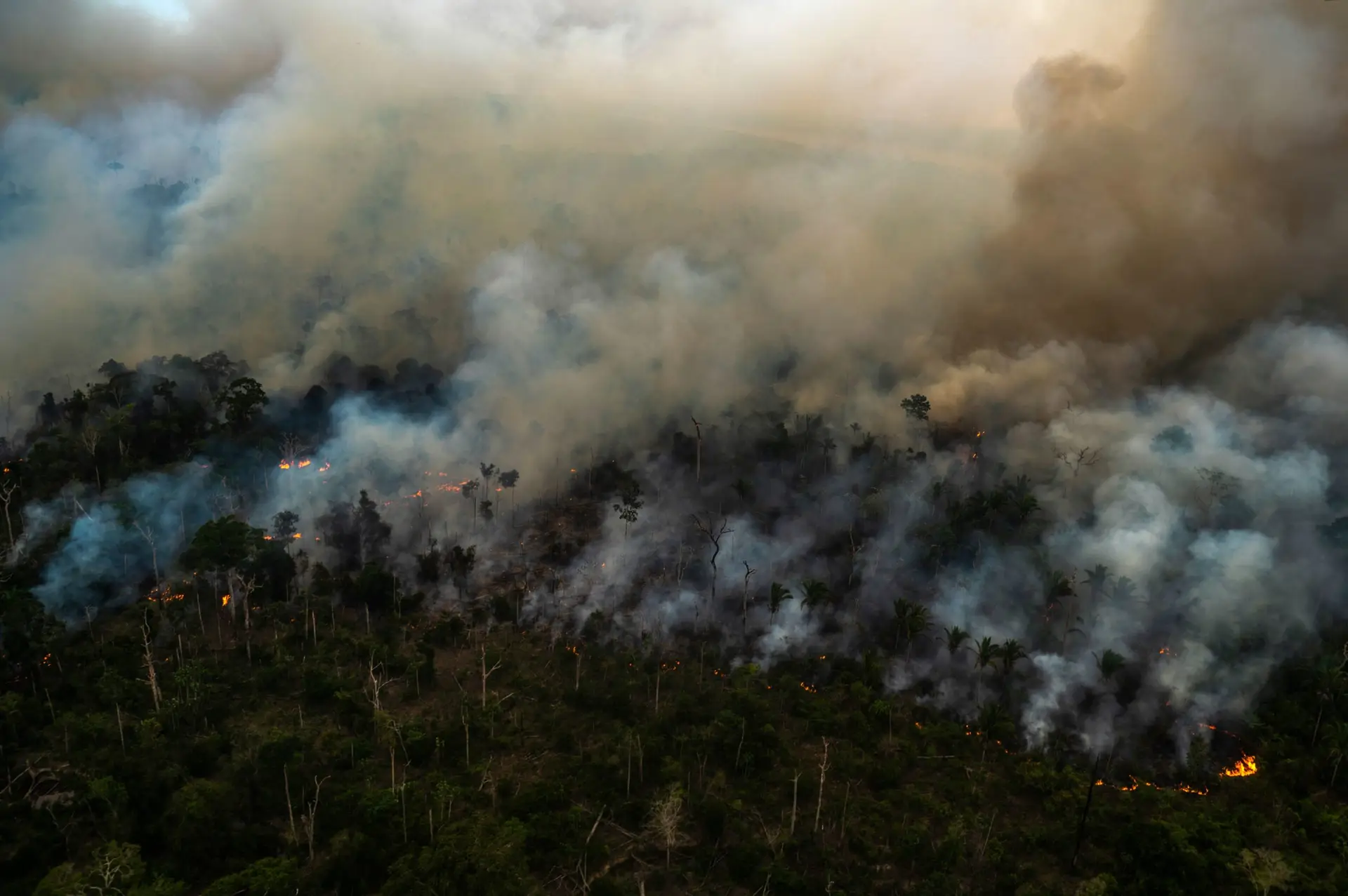 Maio de 2022, um dos mais devastadores na história da floresta amazónica