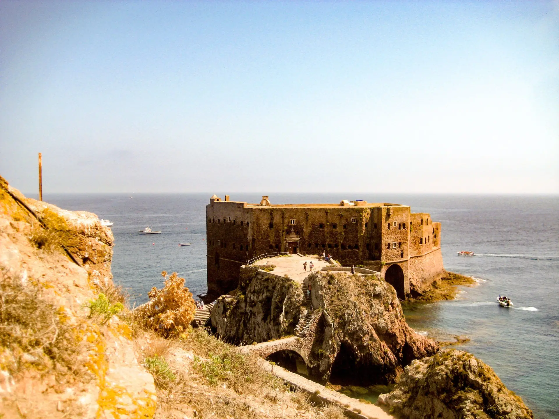 Chefes Michelin visitam Berlengas para alertar para pesca sustentável e seletiva