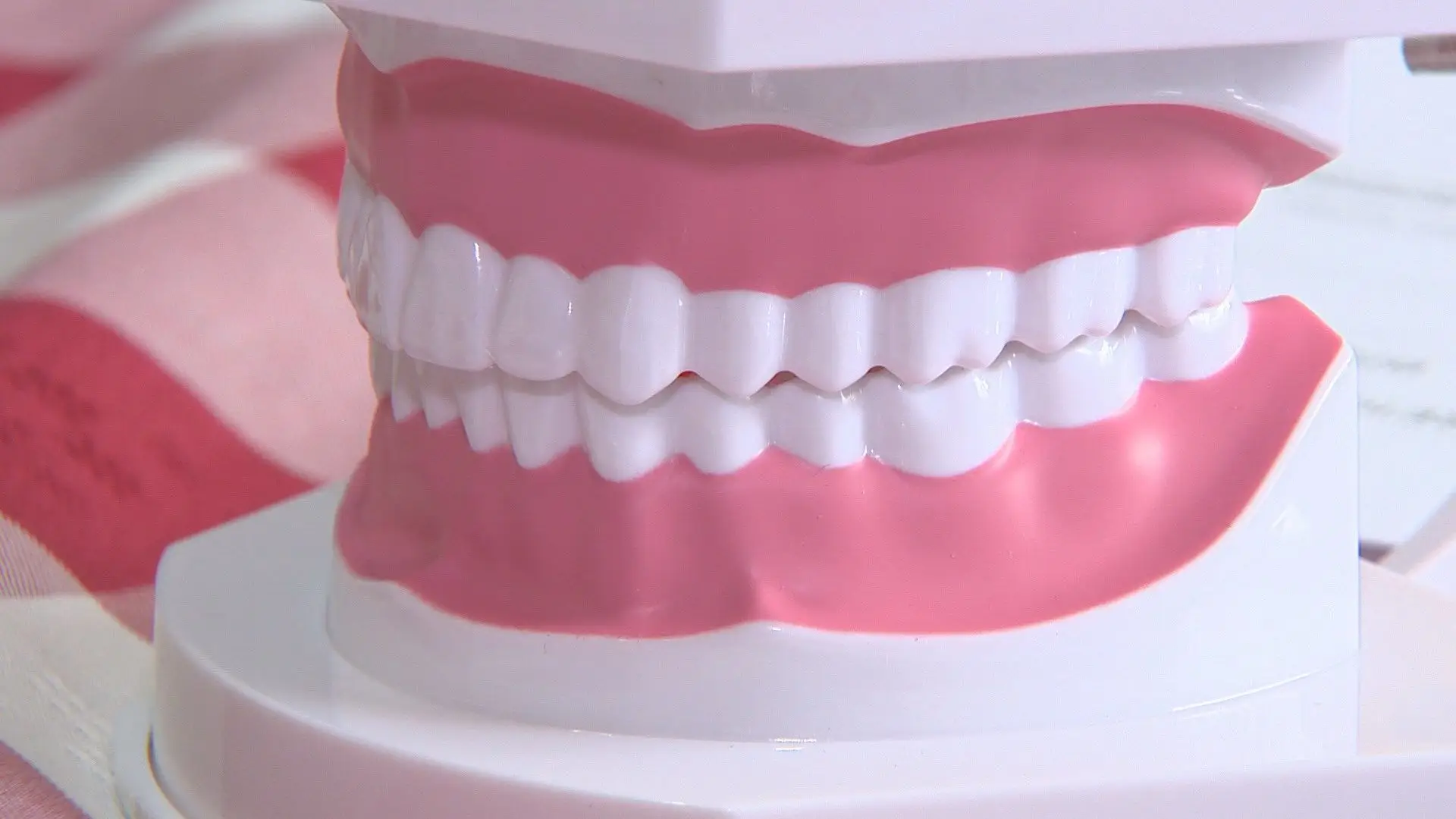 Cruz Vermelha realiza rastreios de saúde oral em várias aldeias de Bragança