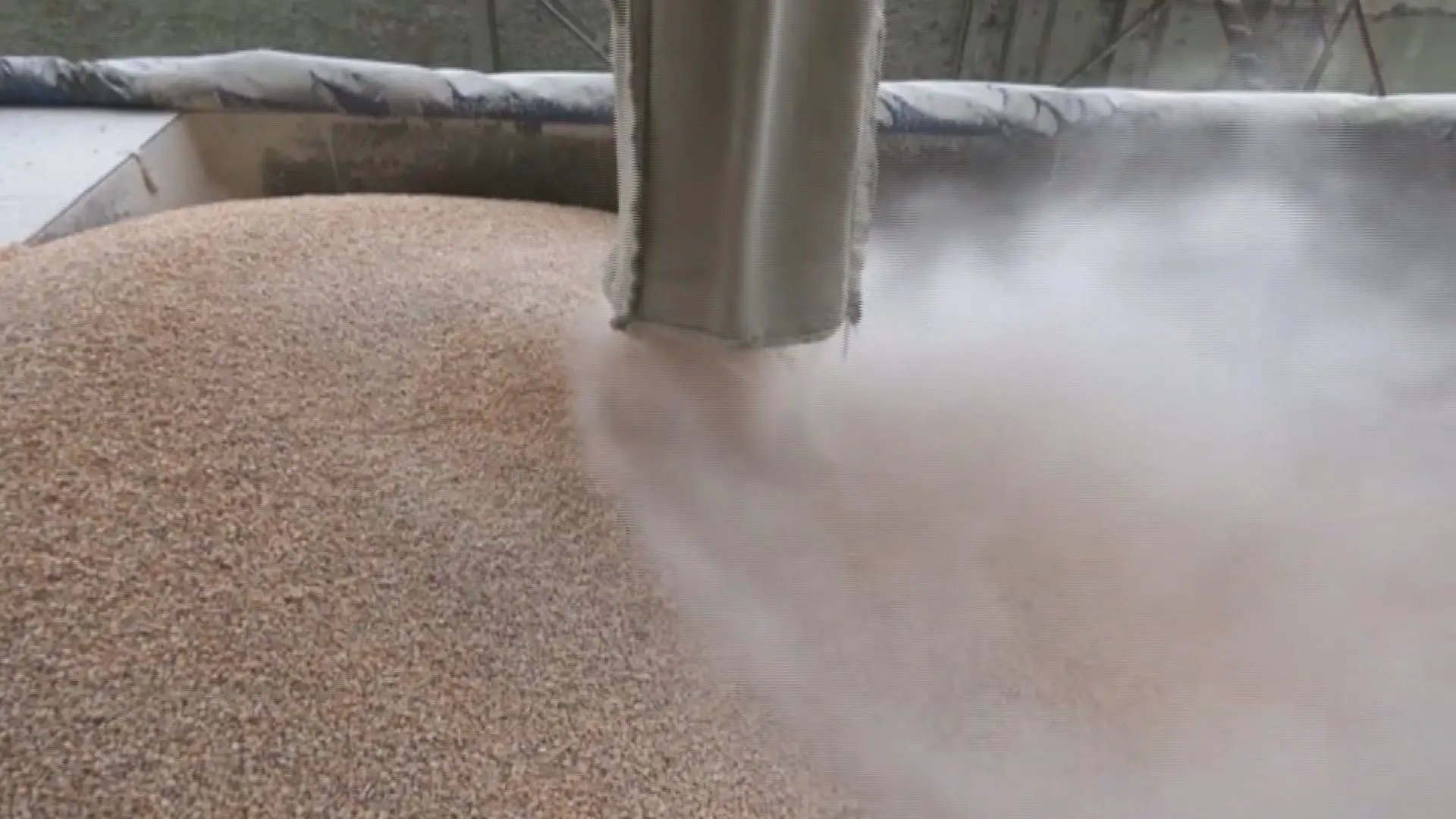 Crise alimentar: Governo garante que Portugal tem reservas de cereais 