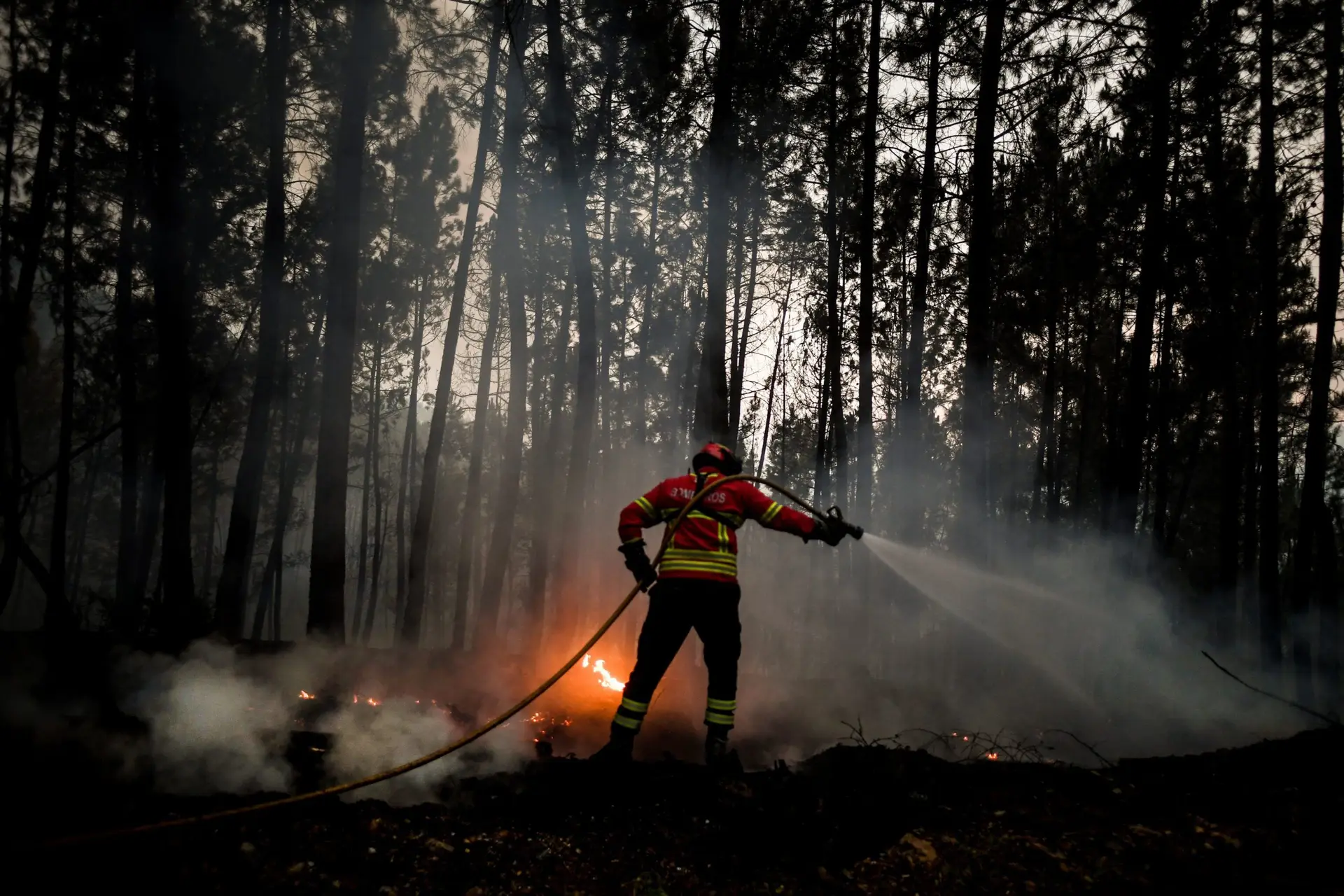 Treze concelhos de quatro distritos em perigo máximo de incêndio