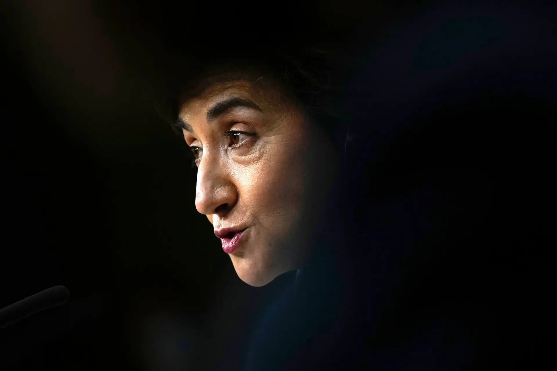 Ministra da Agricultura garante que Portugal não tem razão para alarme quanto ao fornecimento de cereais