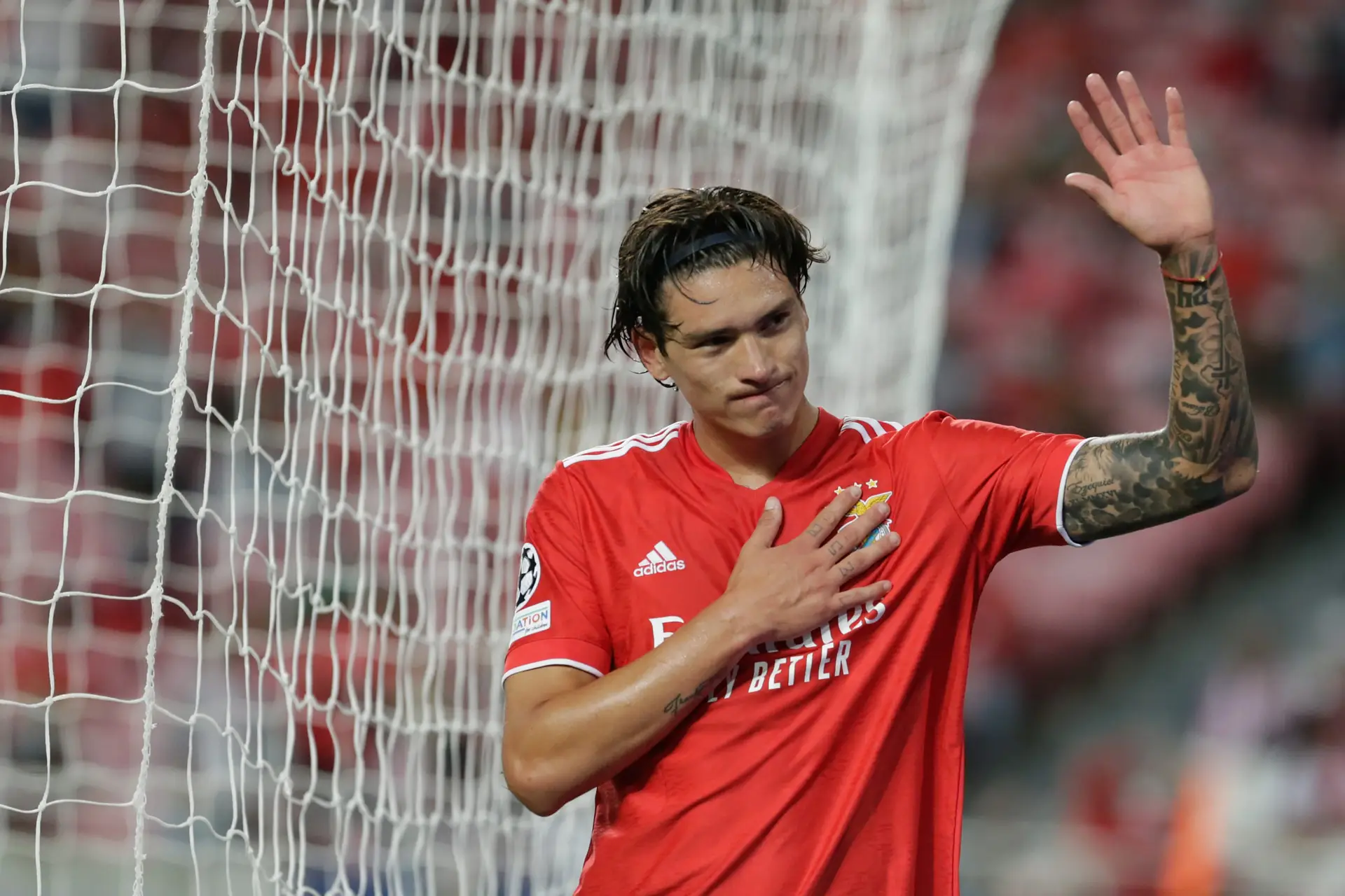 Circula nas redes sociais: Benfica lucra apenas 24,75 milhões de euros  pela venda de Darwin Nuñez - Polígrafo