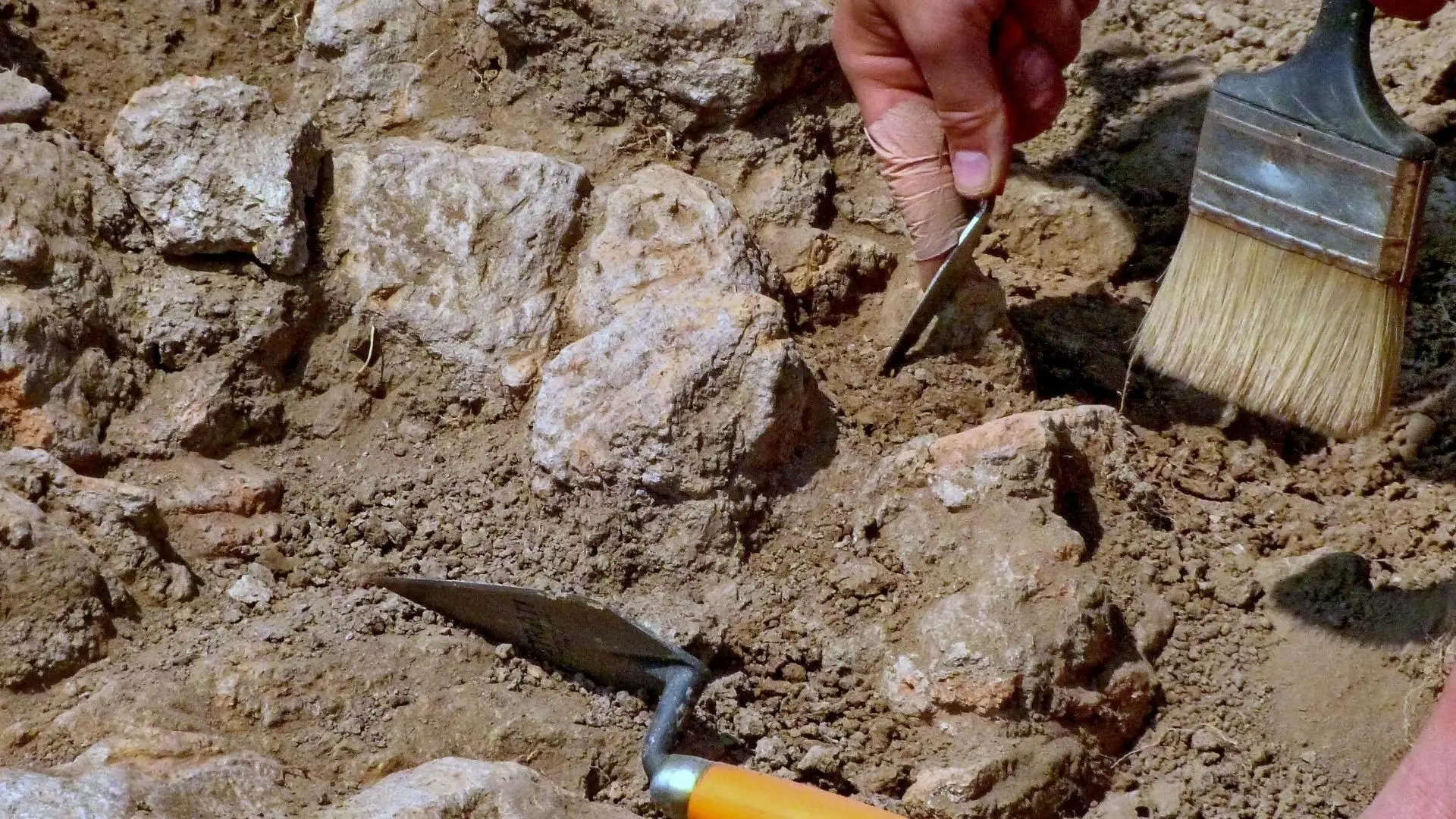 Escavações arqueológicas em Matosinhos revelam passado e origens da cidade