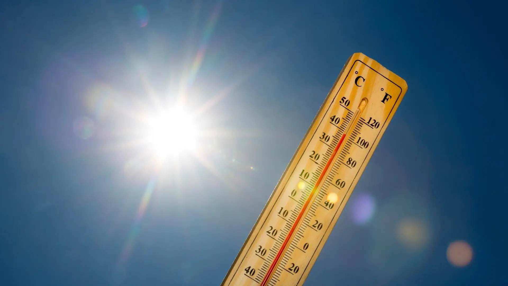 Onda de calor em Portugal: temperaturas podem chegar aos 42ºC