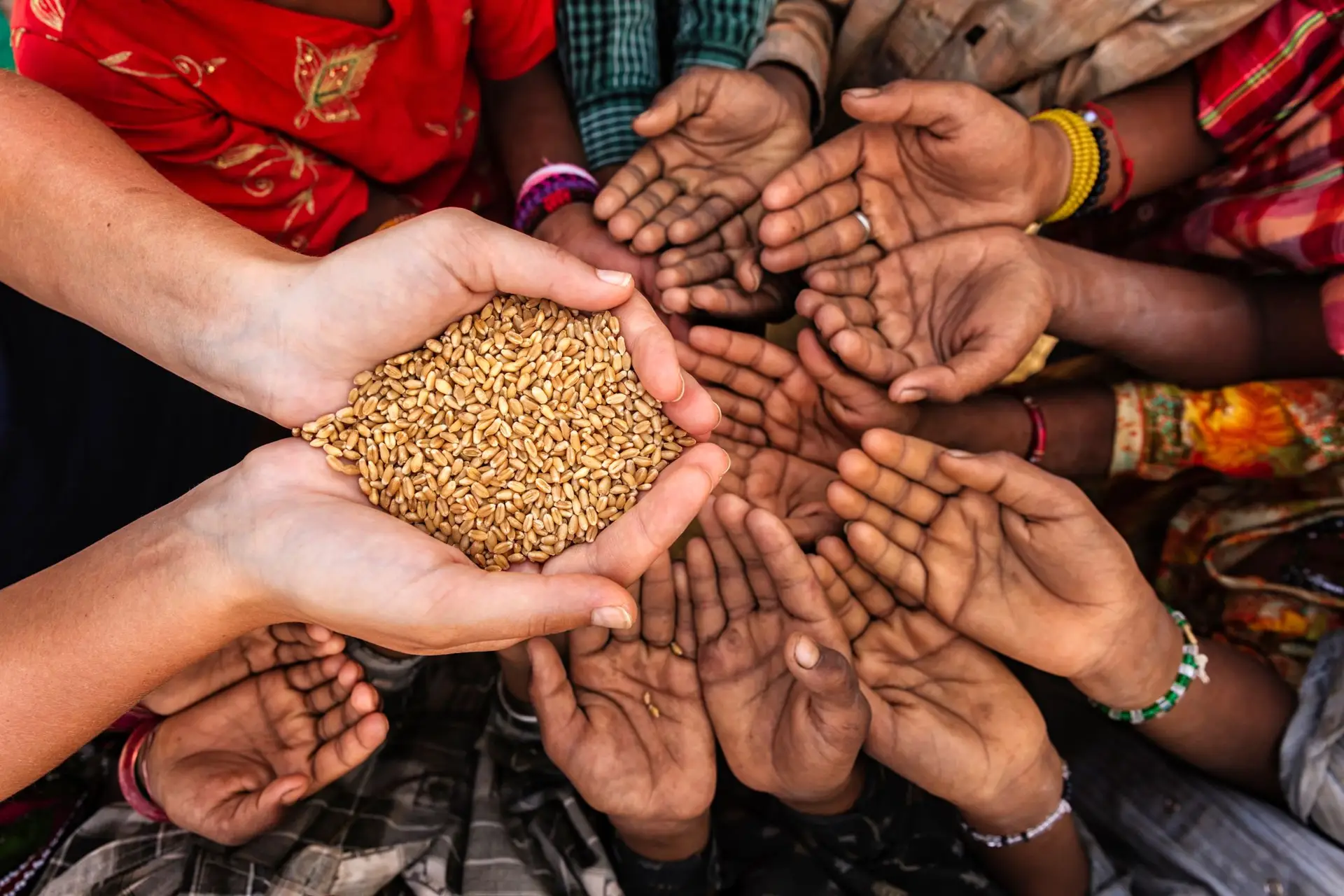 Médio Oriente e norte de África enfrentam "risco muito elevado" de escassez de alimentos