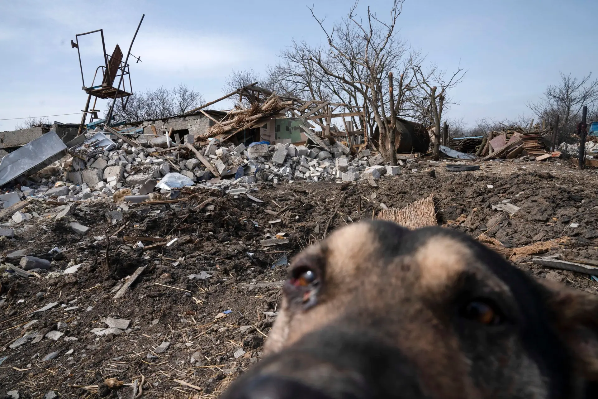 SIC na Ucrânia: o regimento bielorrusso que luta para colmatar a culpa
