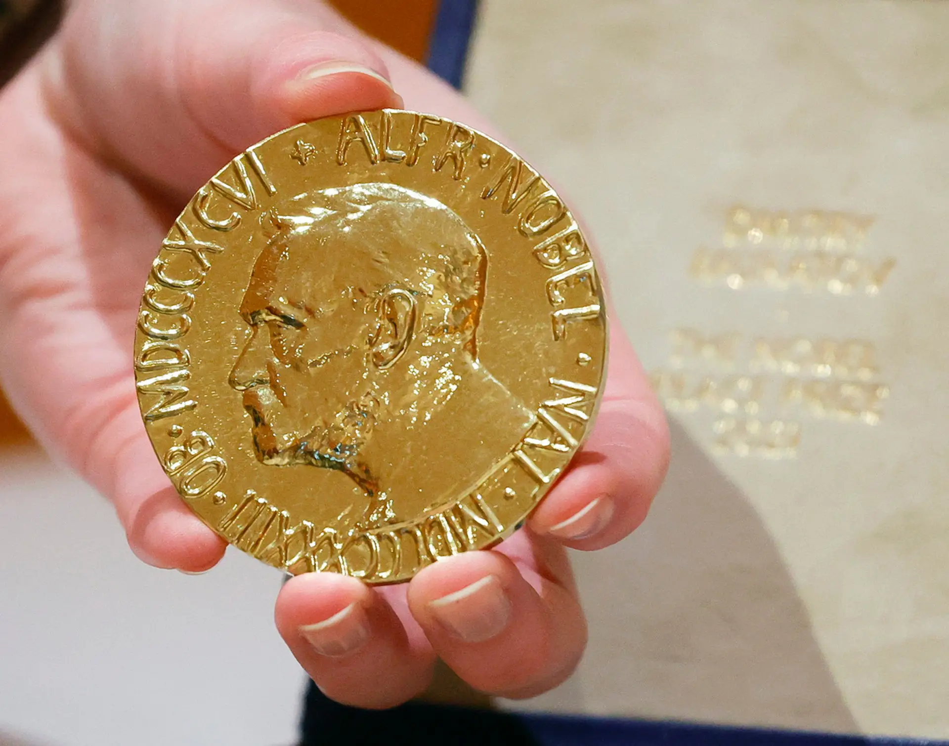 Guerra na Ucrânia: medalha do Nobel da Paz vendida por 98 milhões de euros para ajudar crianças deslocadas