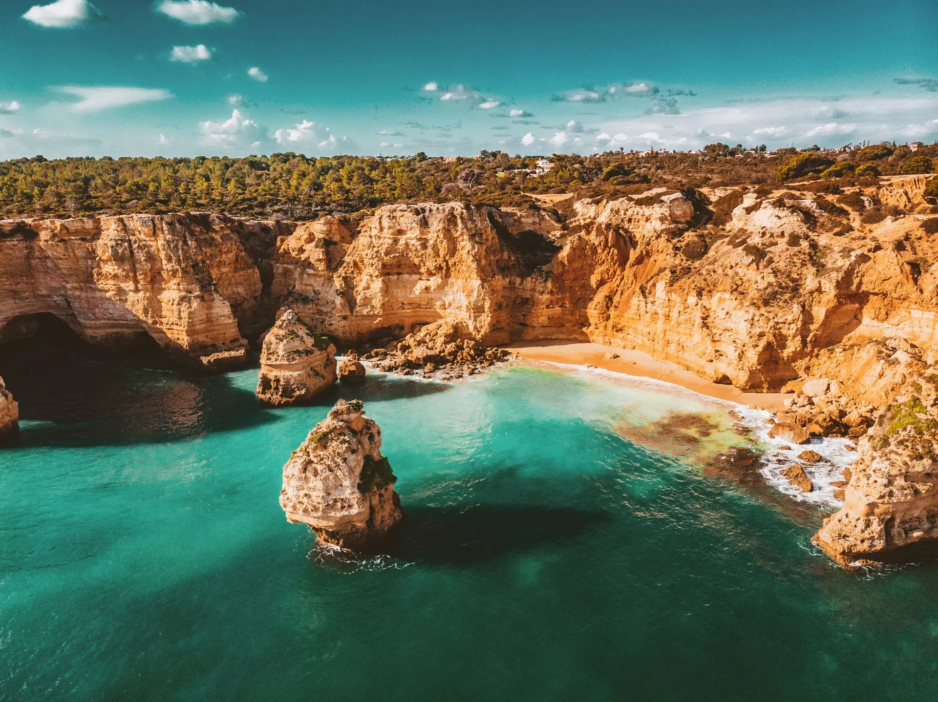 Estudo internacional deteta metais pesados e microplásticos no mar do Algarve