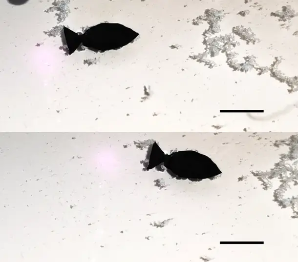 Peixes-robô para resolver o problema dos microplásticos nos oceanos