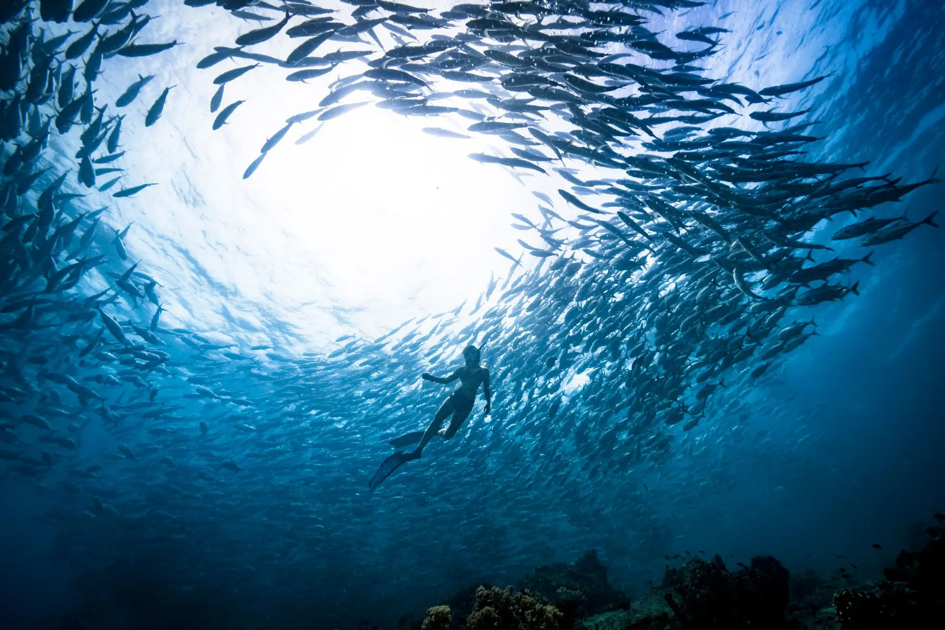 Oceanos: números para compreender os  problemas que enfrentam