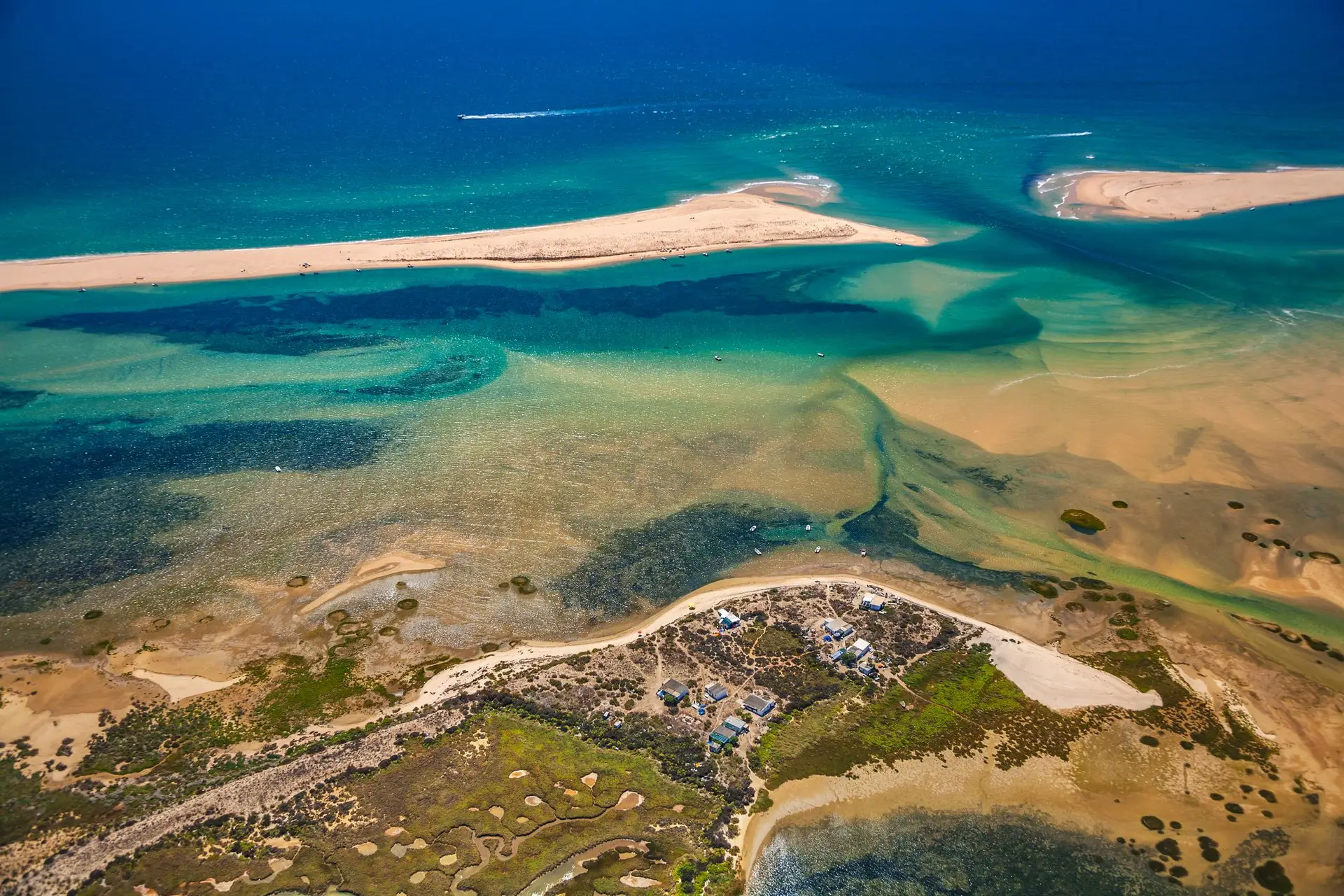 Saquetas de chá usadas para medir armazenamento de carbono na Ria Formosa