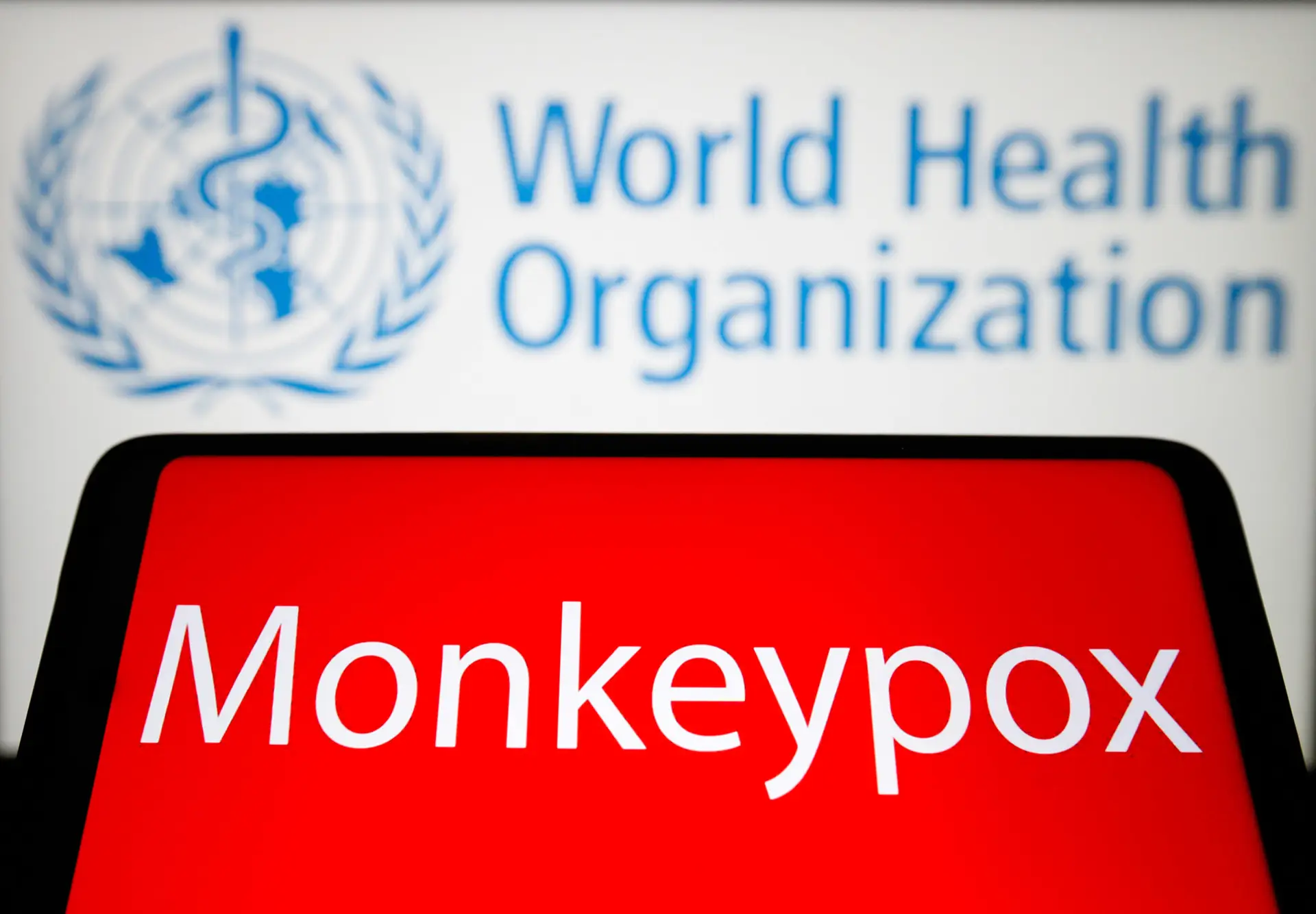 Varíola dos macacos: OMS preocupada com transmissão do vírus a crianças e grávidas