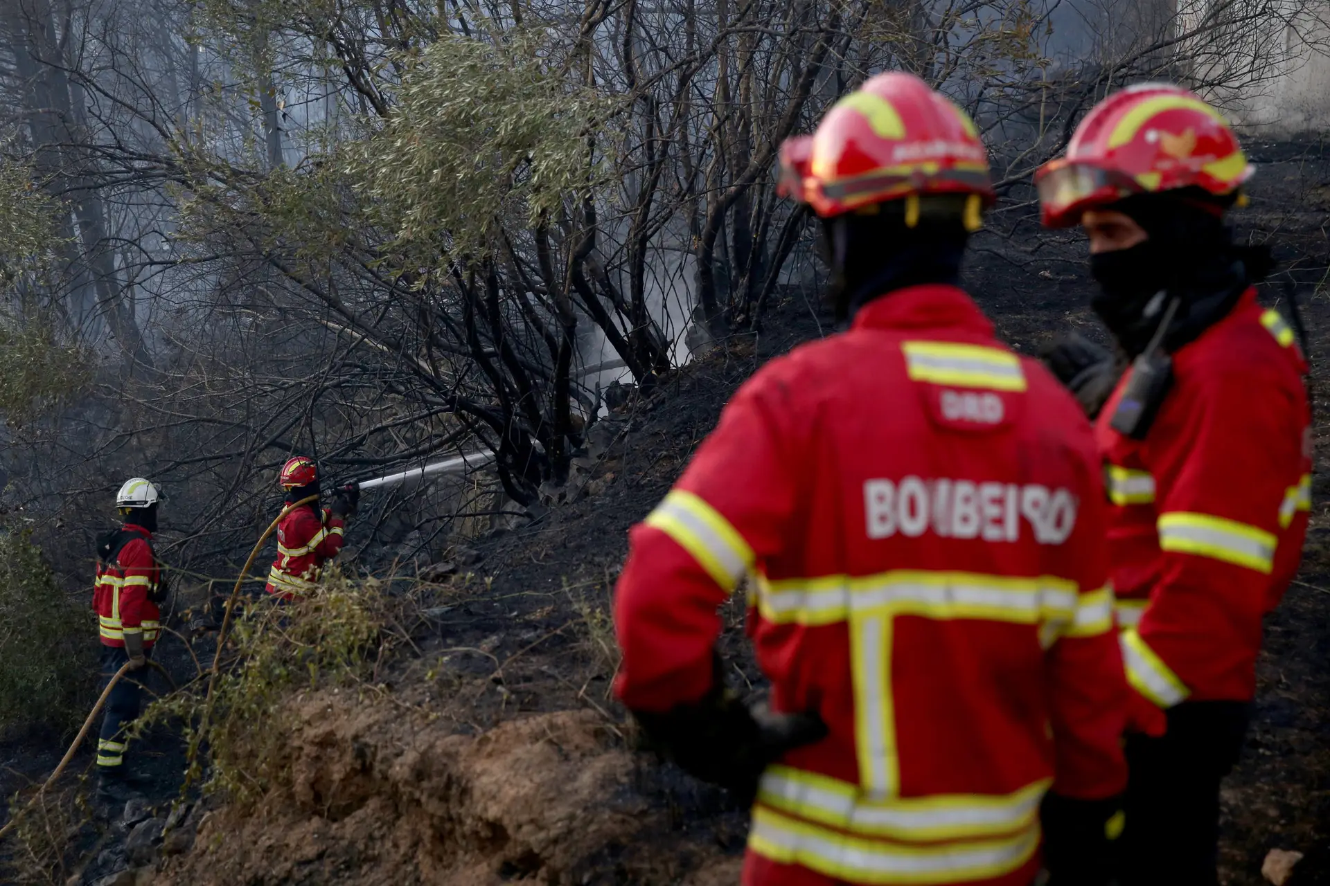 Quase todo o continente em perigo máximo e muito elevado de incêndio