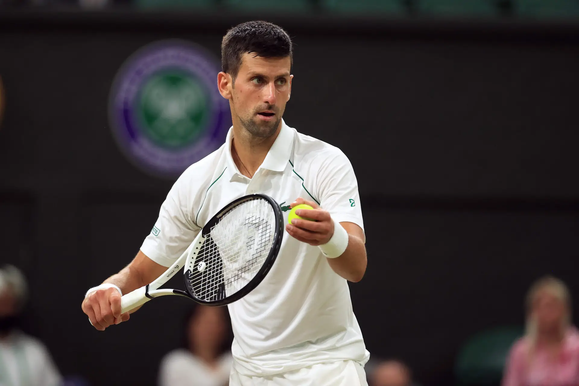 Wimbledon: Sinner afasta Alcaraz e Djokovic vence na presença de Federer