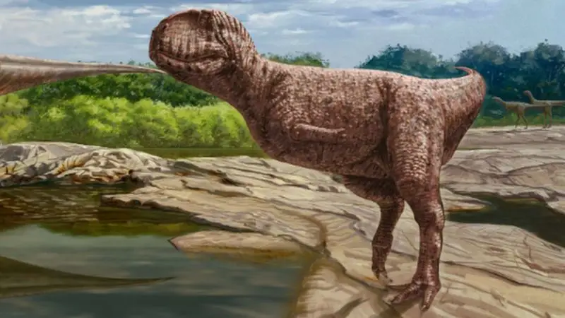 Fóssil de dinossauro “com cara de bulldog”  encontrado no Egito