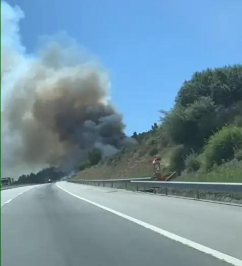 Vídeo: fogo junto à A23 combatido por quatro meios aéreos
