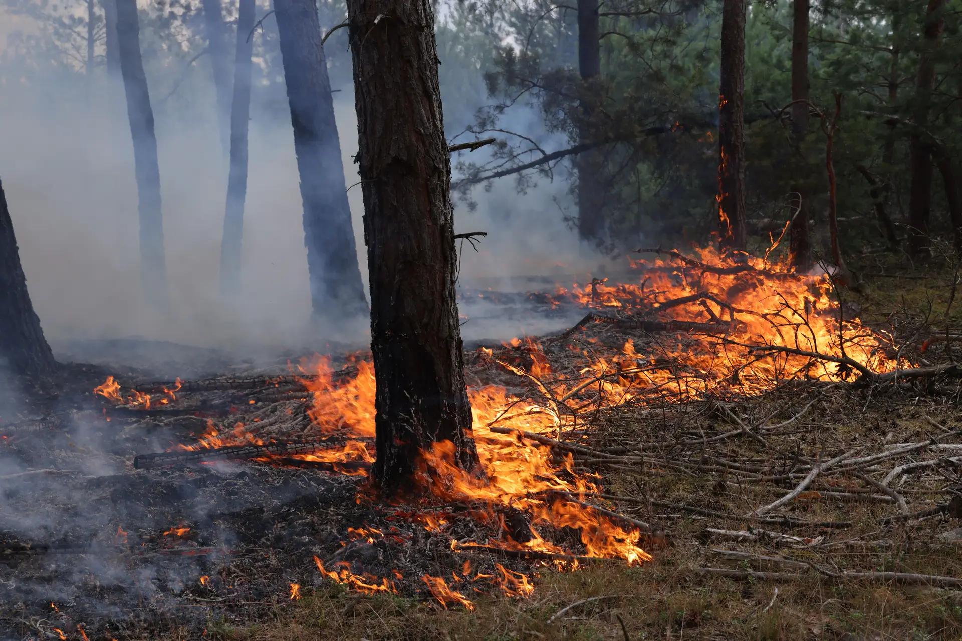 Risco de incêndio: situação de alerta prolonga-se até 15 de julho